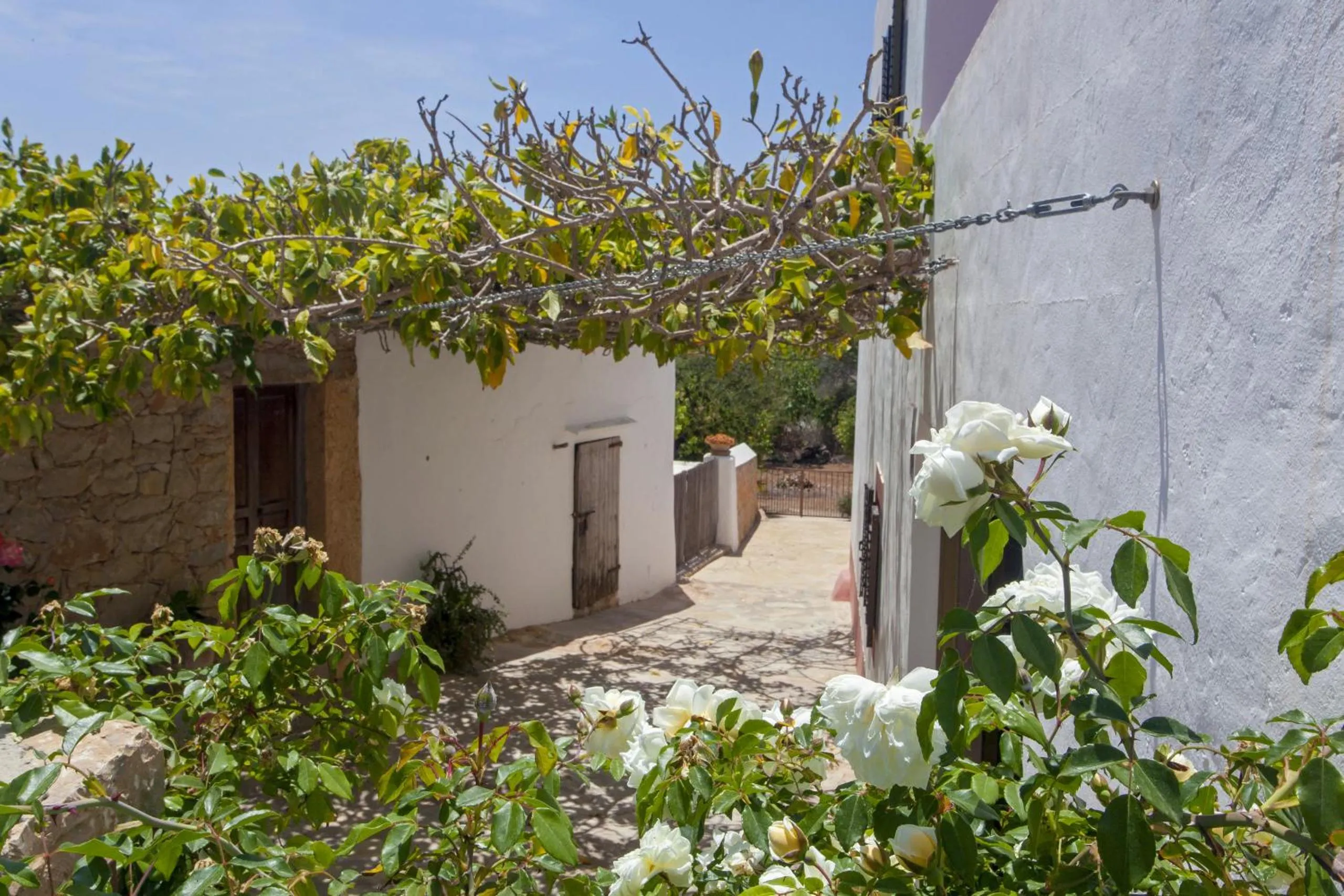 Off site in Pau de Baix