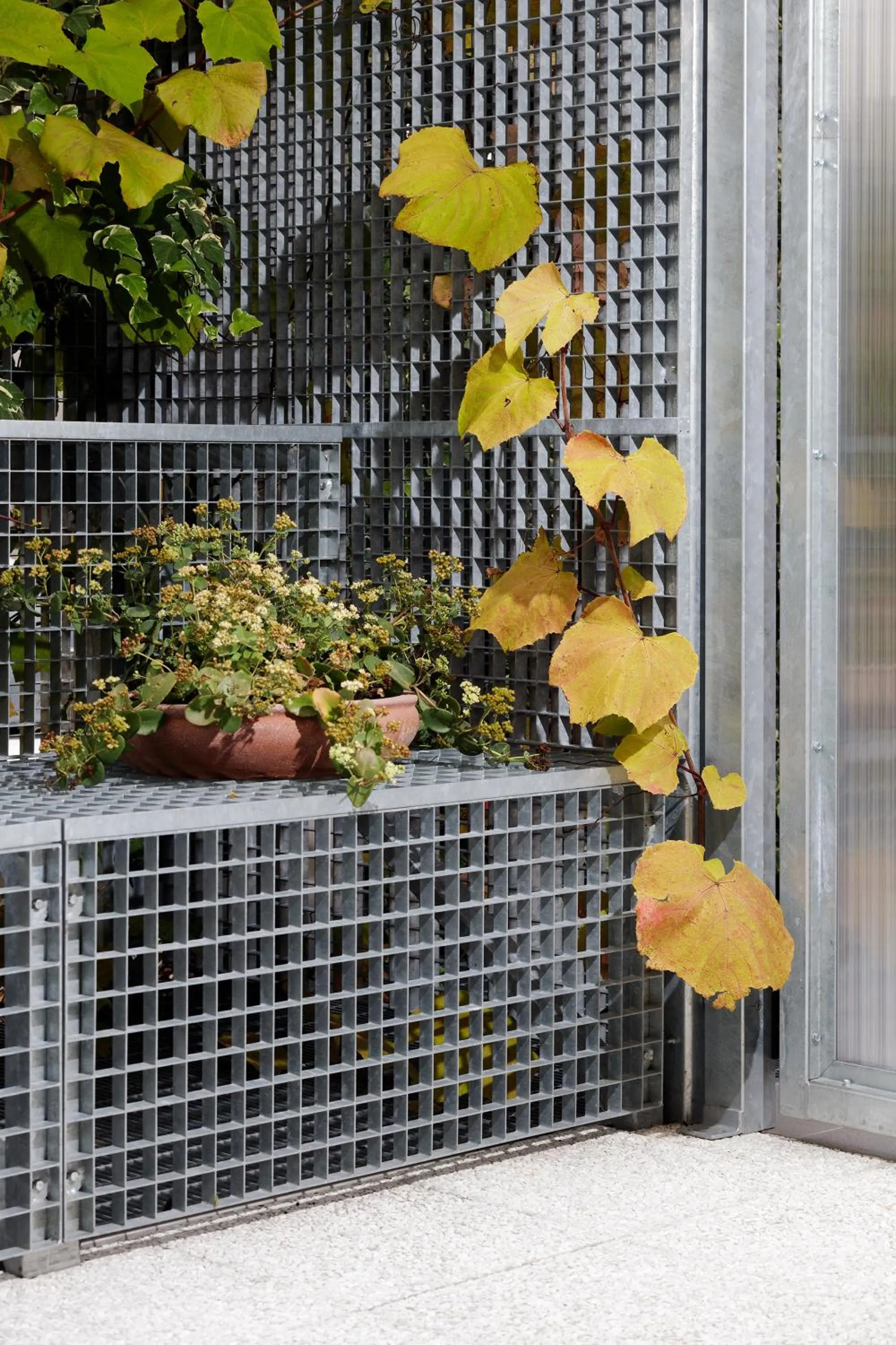 Garden in Le Nove Hotel