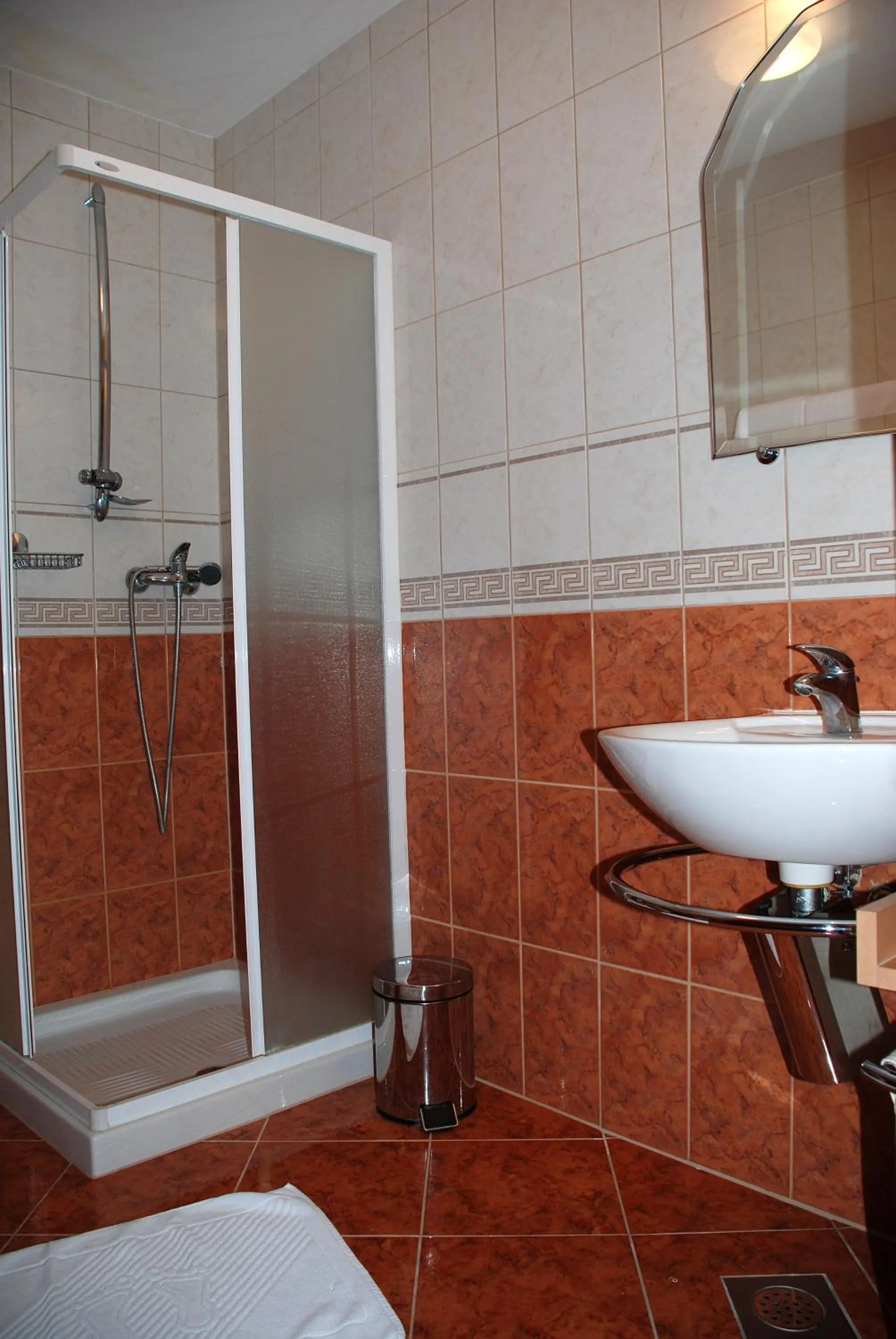 Shower in Hotel Zvezda