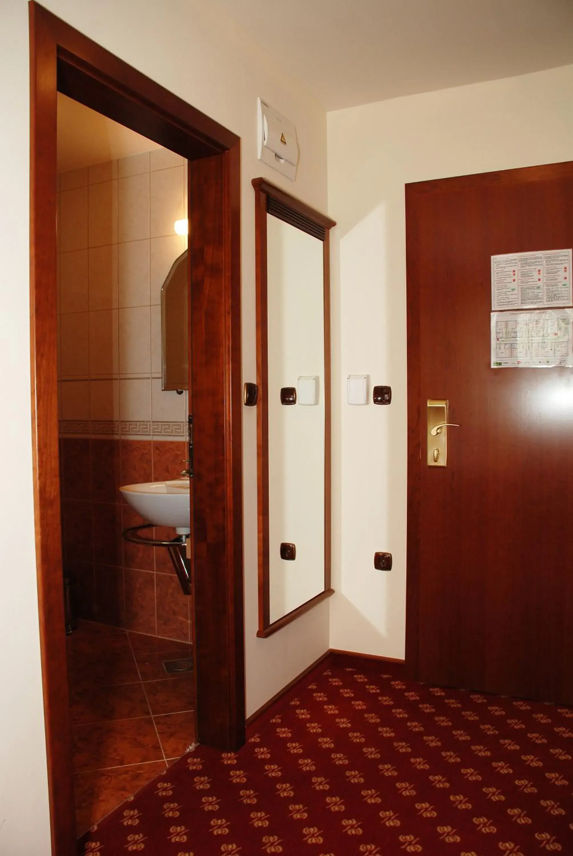 Single Room in Hotel Zvezda Single Room in Hotel Zvezda