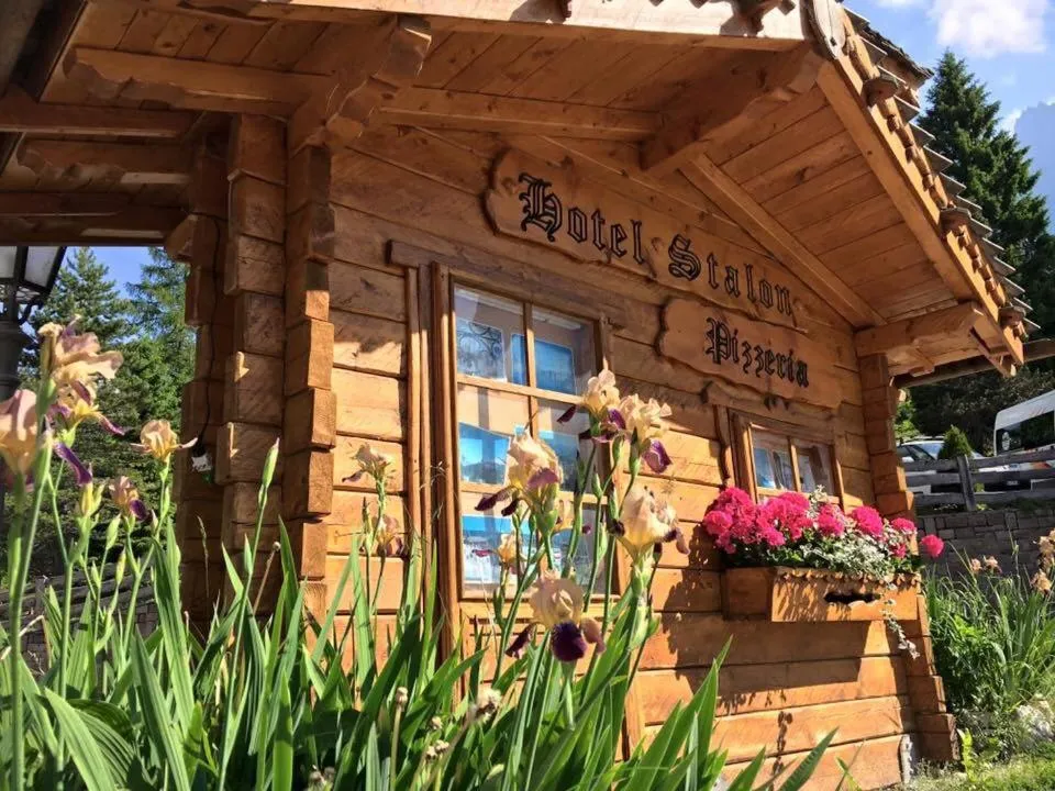 Facade/entrance in Hotel Stalon Alpine Chic