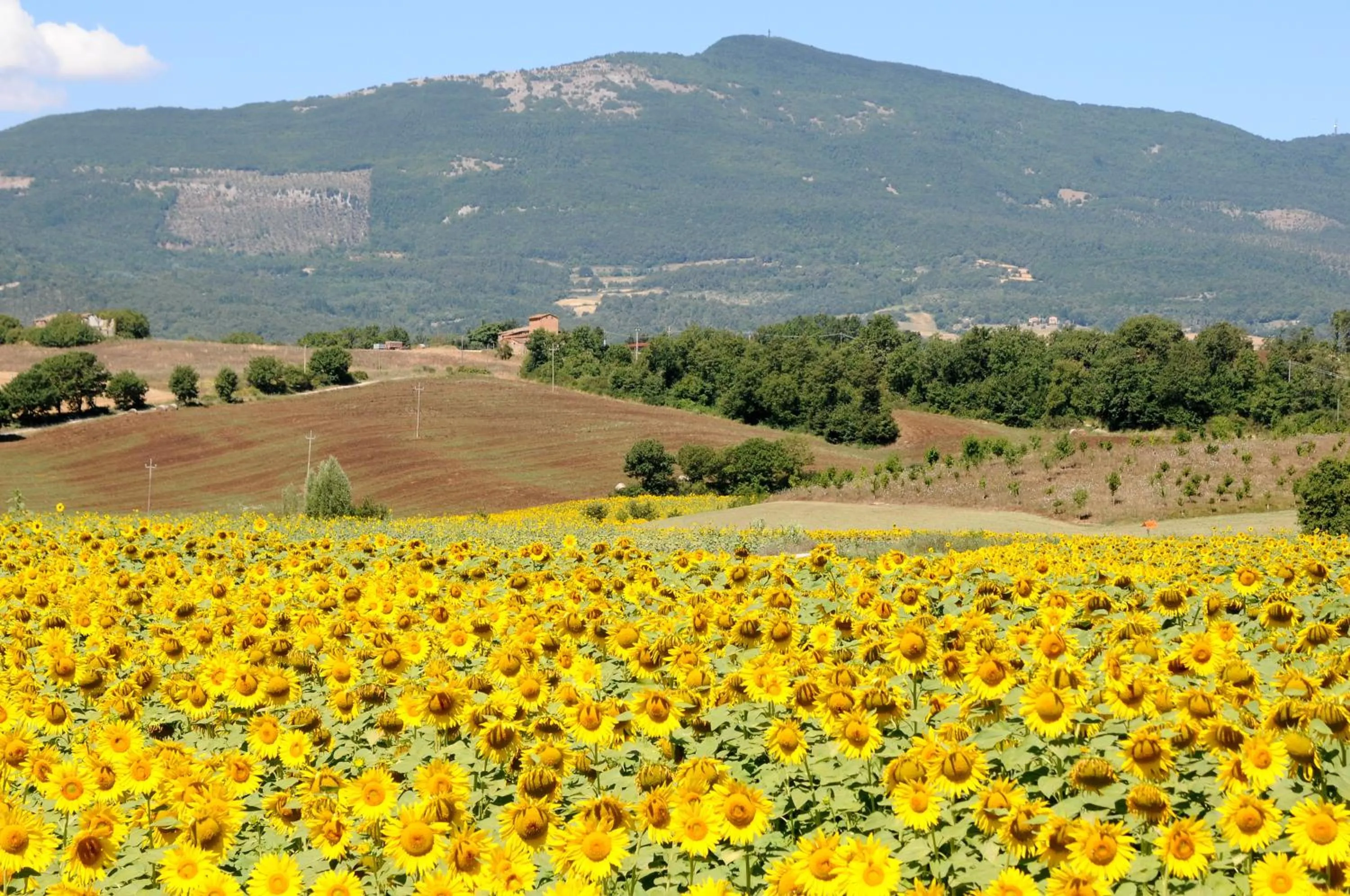 Natural landscape in Albergo La Rosetta