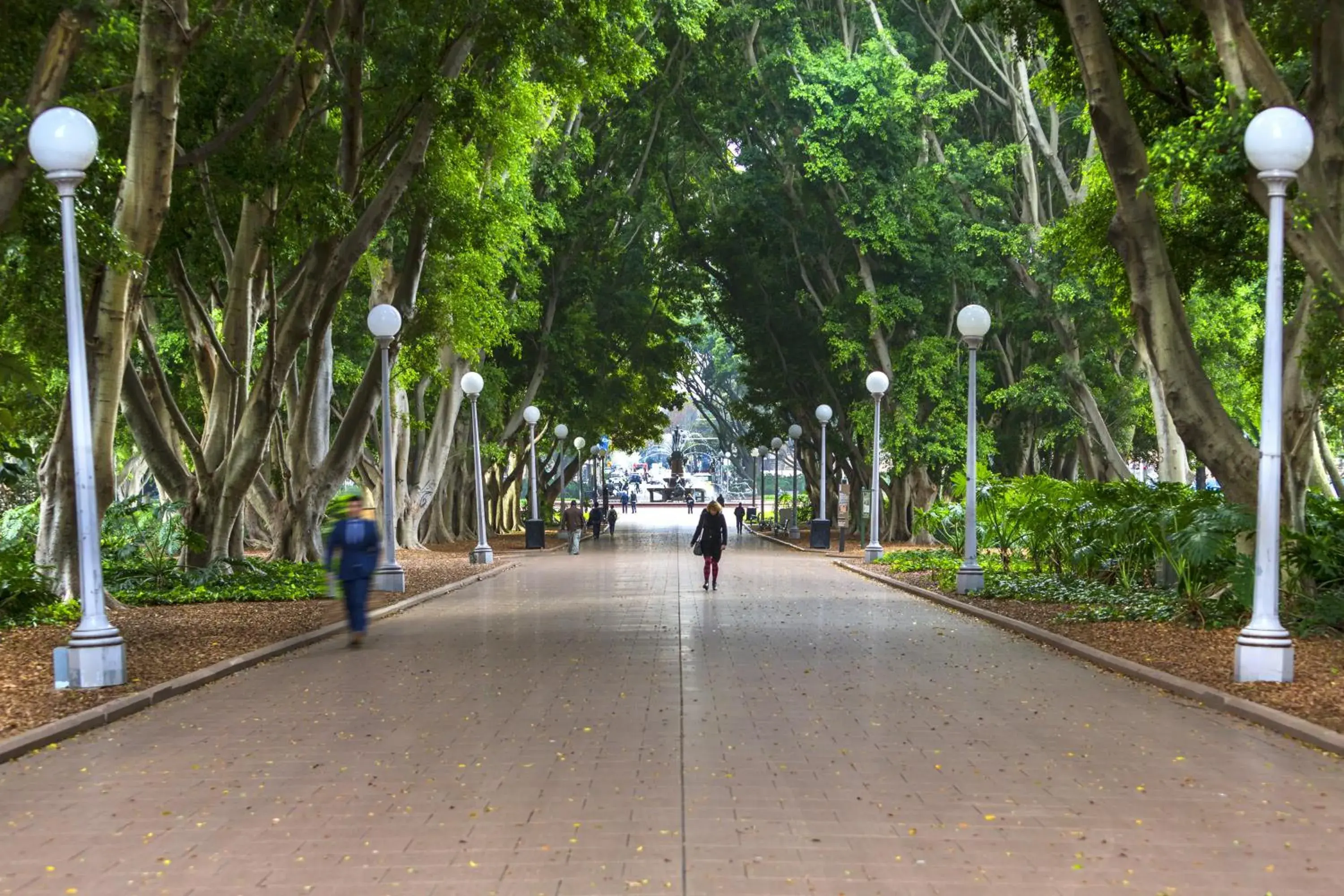 Other in Oaks Sydney Hyde Park Suites Other in Oaks Sydney Hyde Park Suites