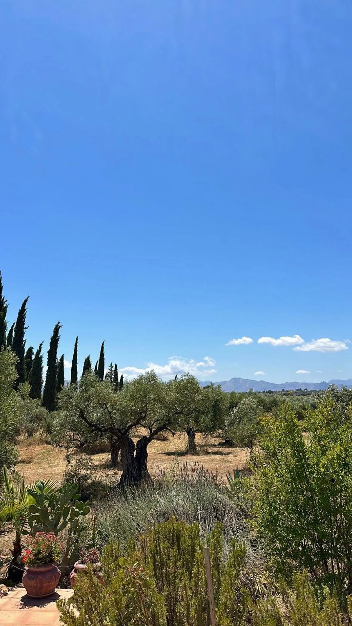 Natural landscape in La Guzmana de Ronda