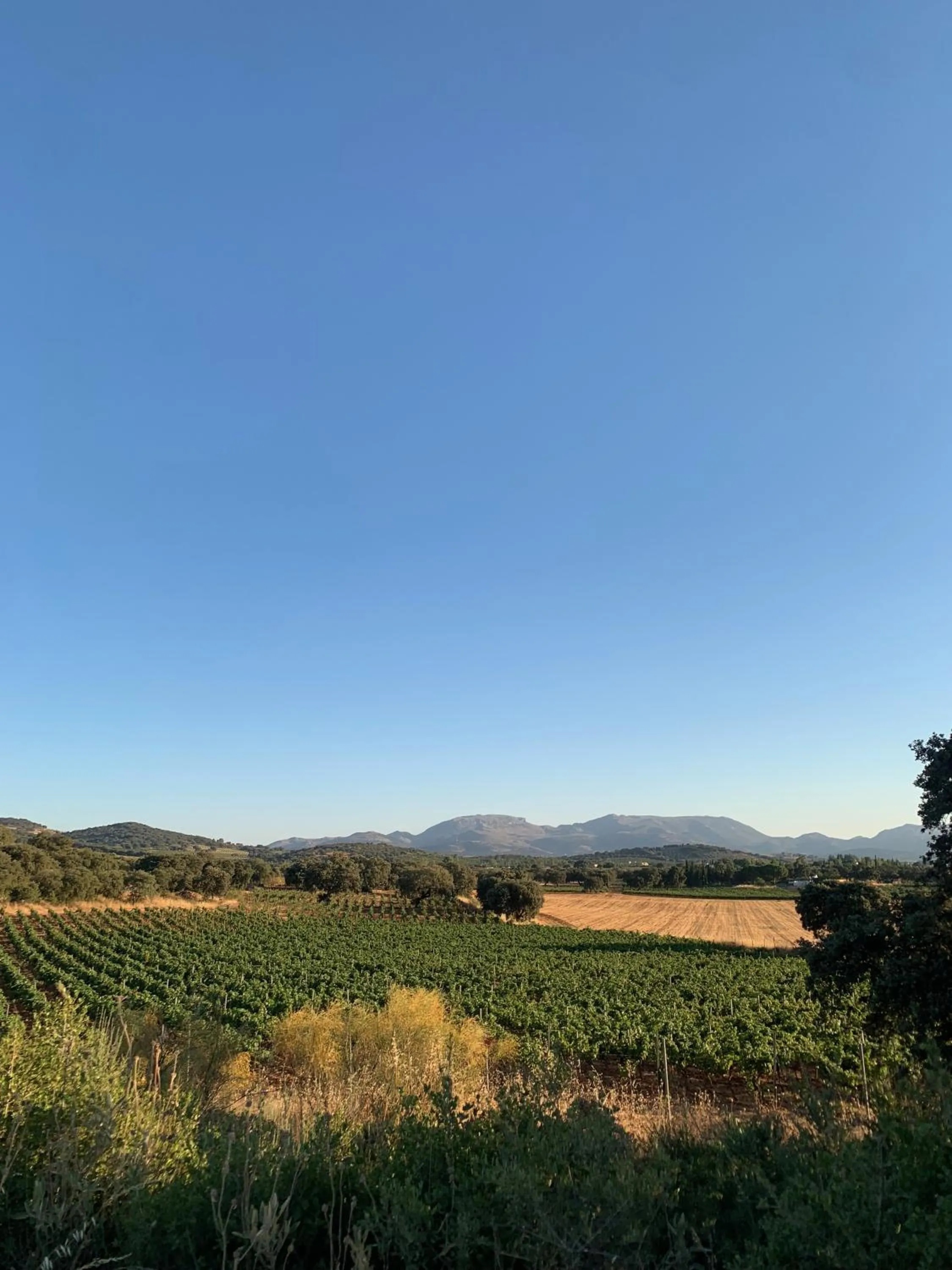 Nearby landmark in La Guzmana de Ronda