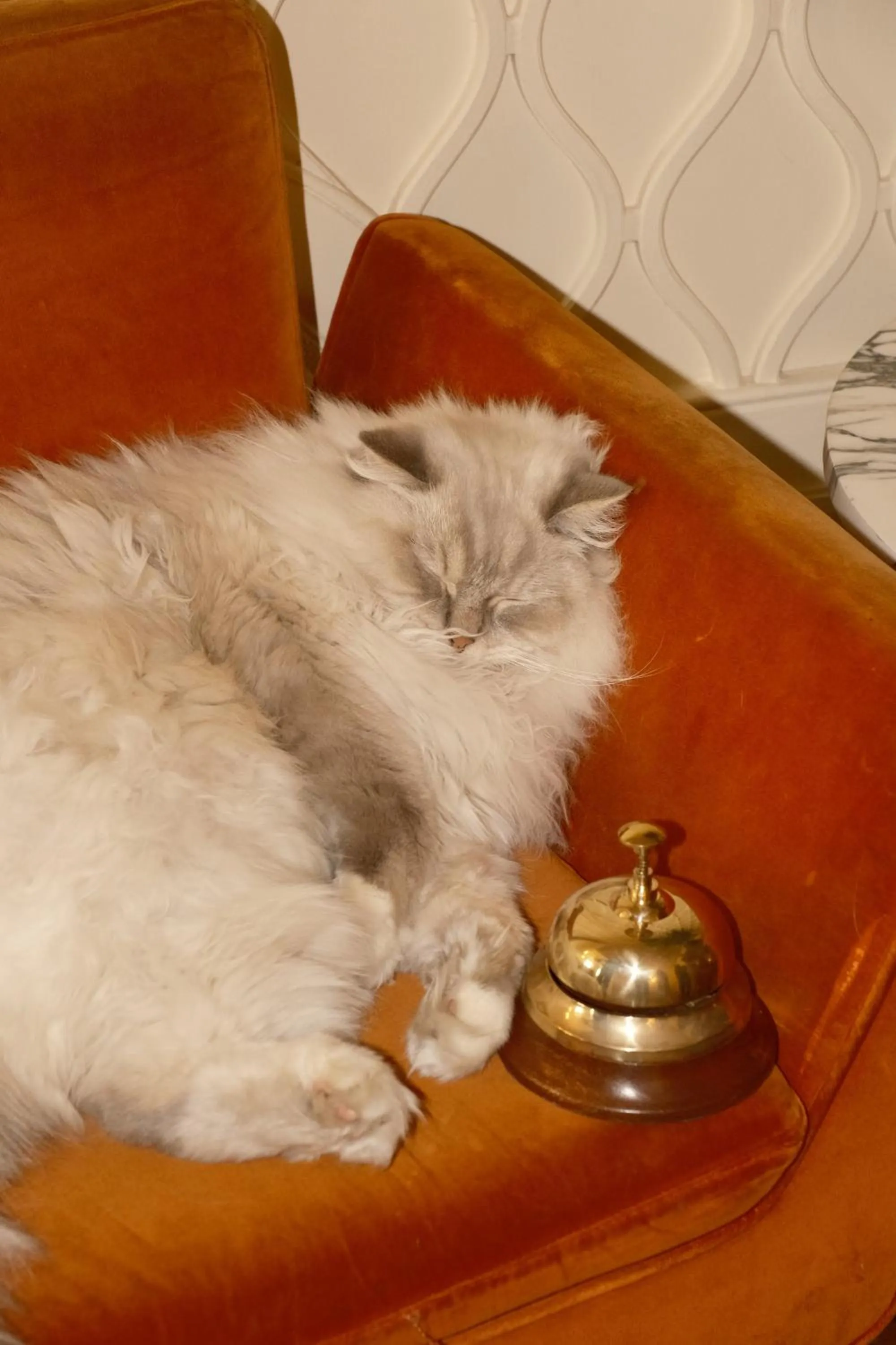 Lobby or reception in Hôtel Thoumieux