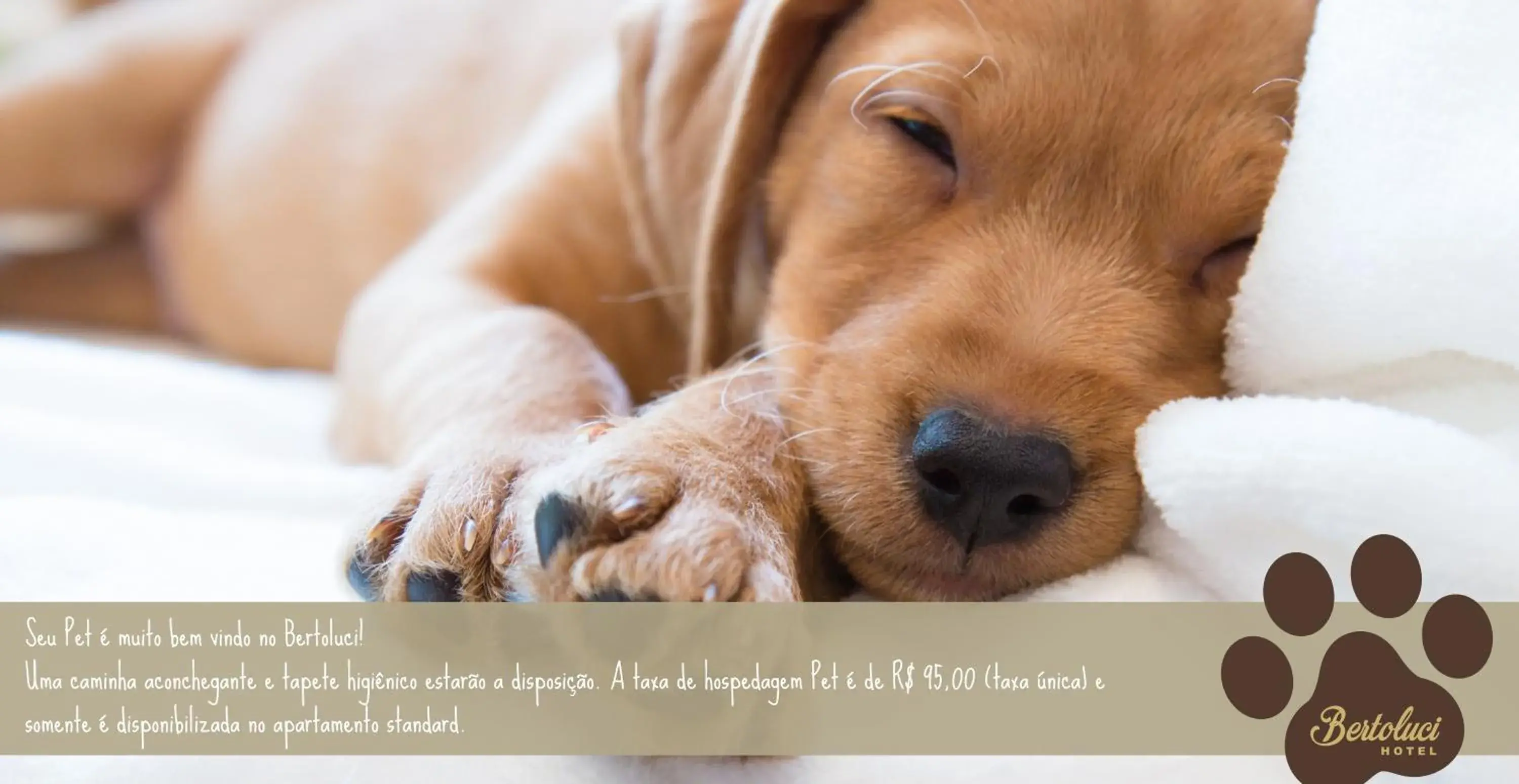 Hotel Bertoluci Hotel Bertoluci