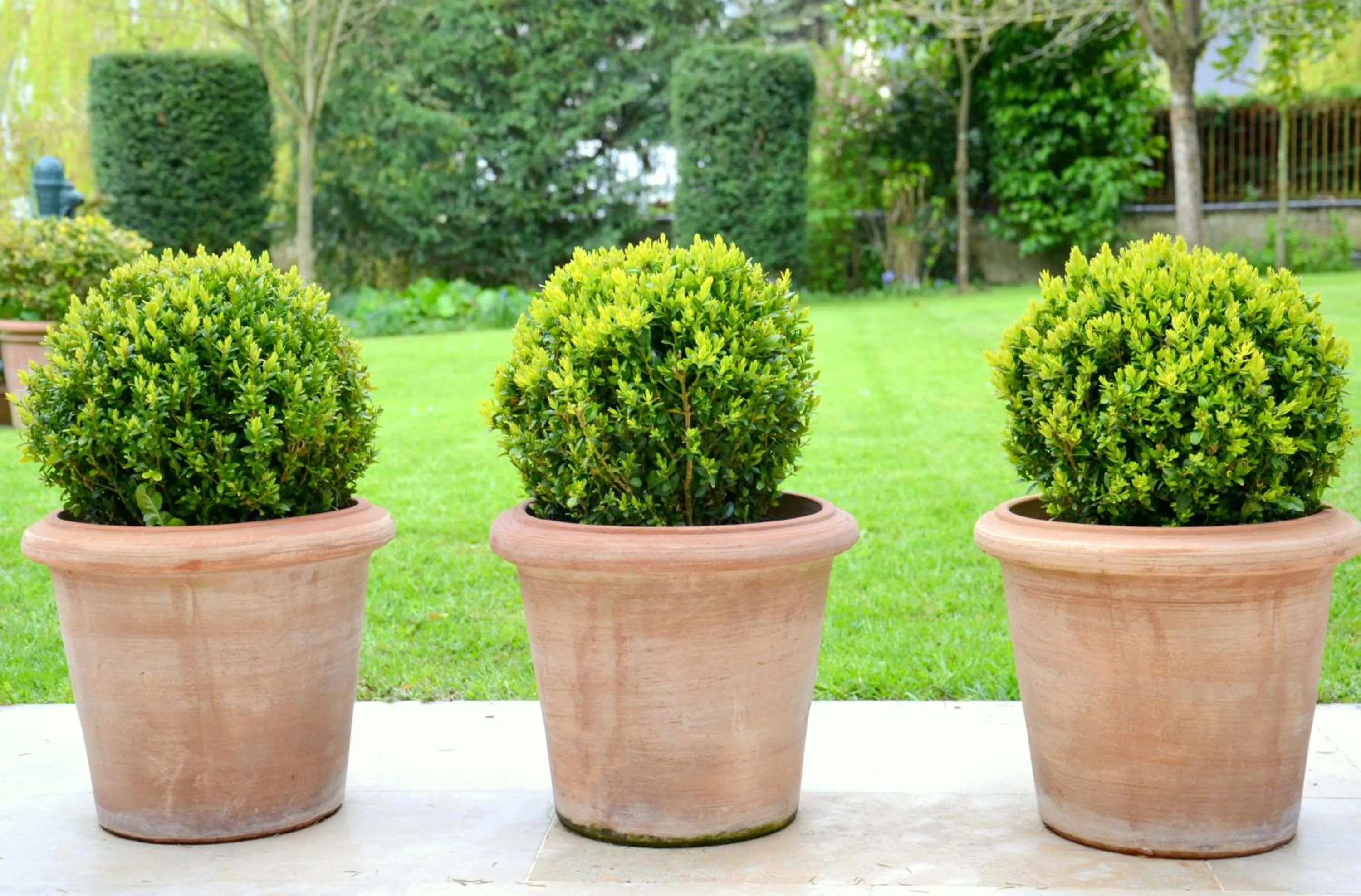 Balcony/Terrace in Clos de Bellefontaine B&B