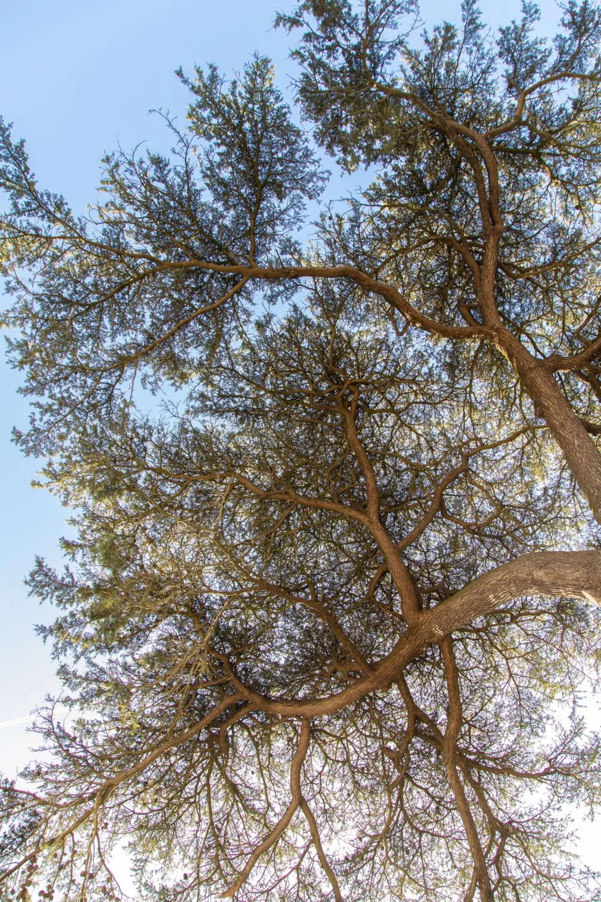 Garden in Clos de Bellefontaine B&B