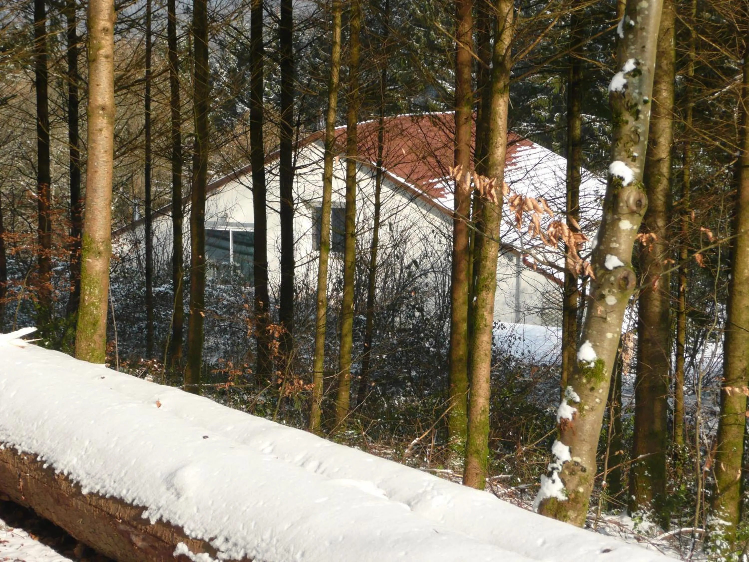 Property building in Au Palton