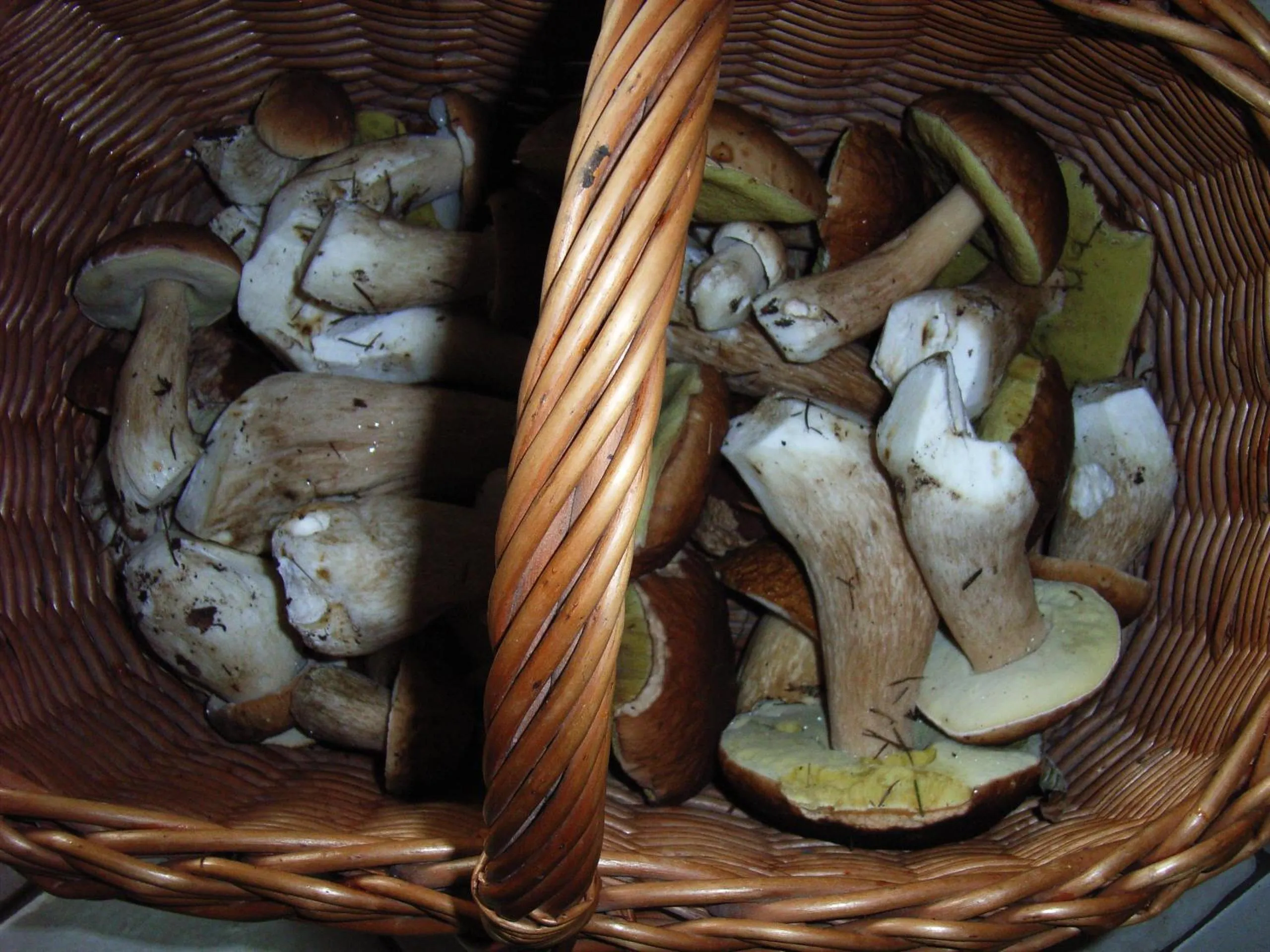 Activities in Au Palton