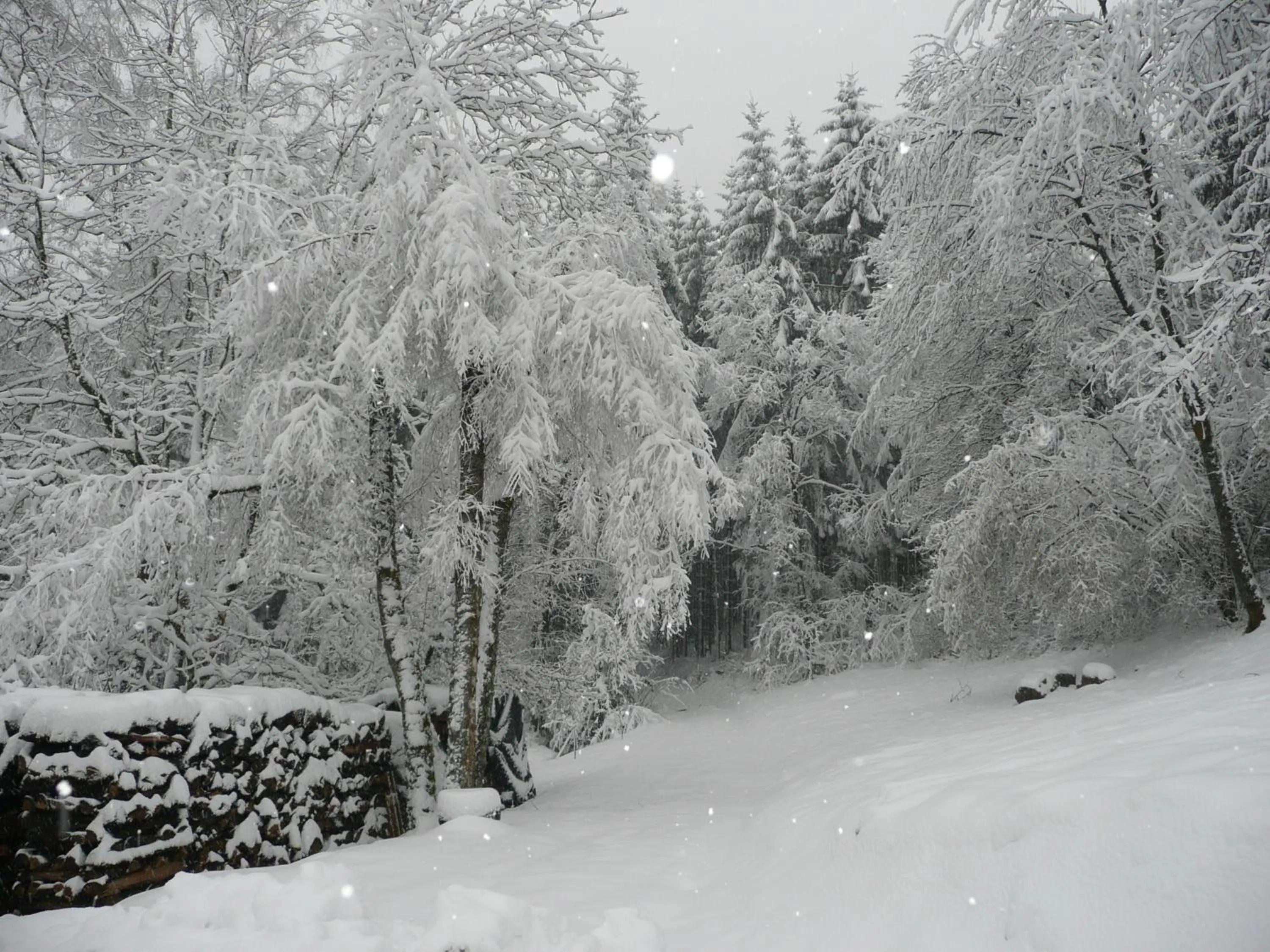 Garden view in Au Palton