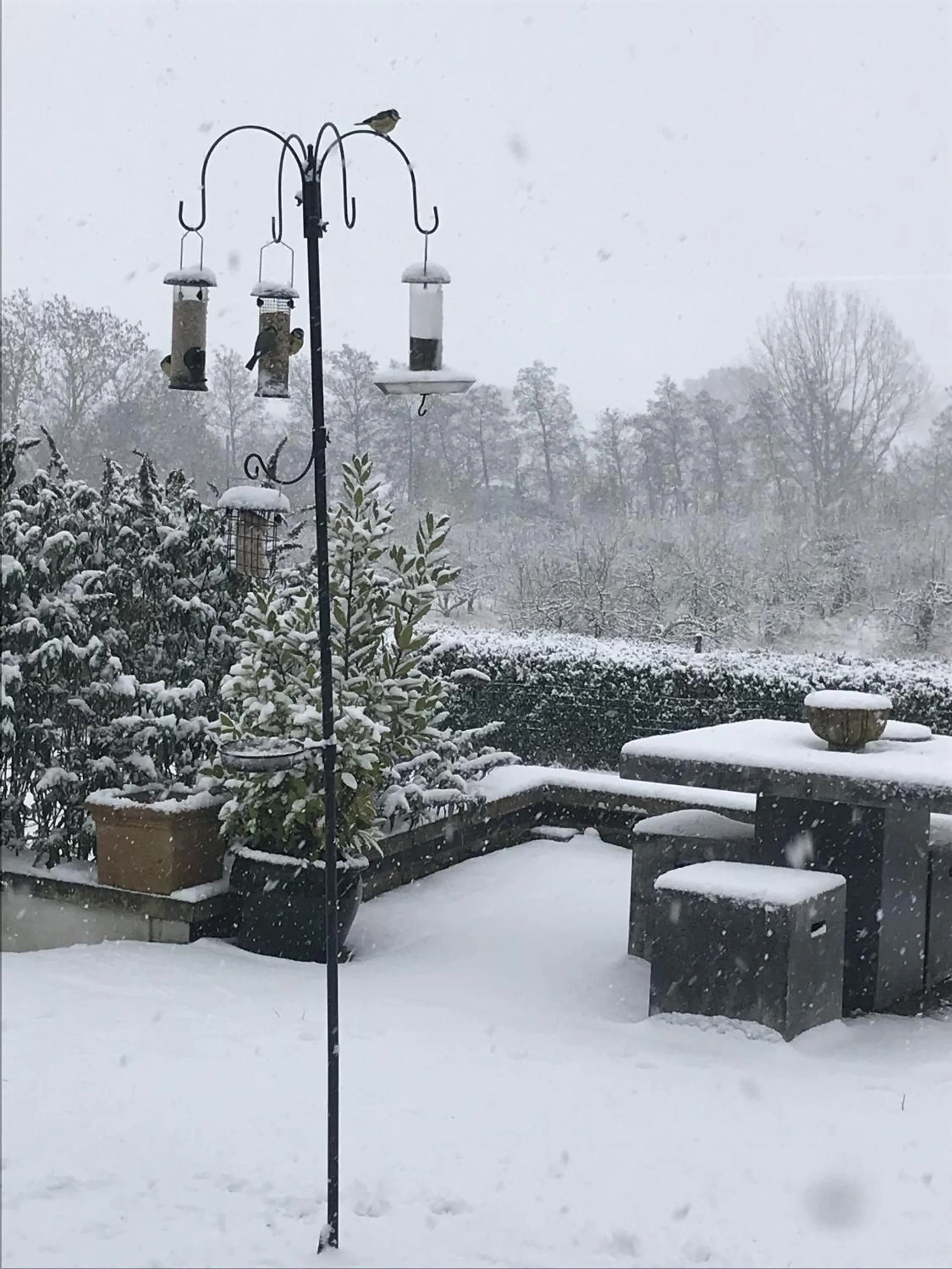 Garden in Shakespeare's View