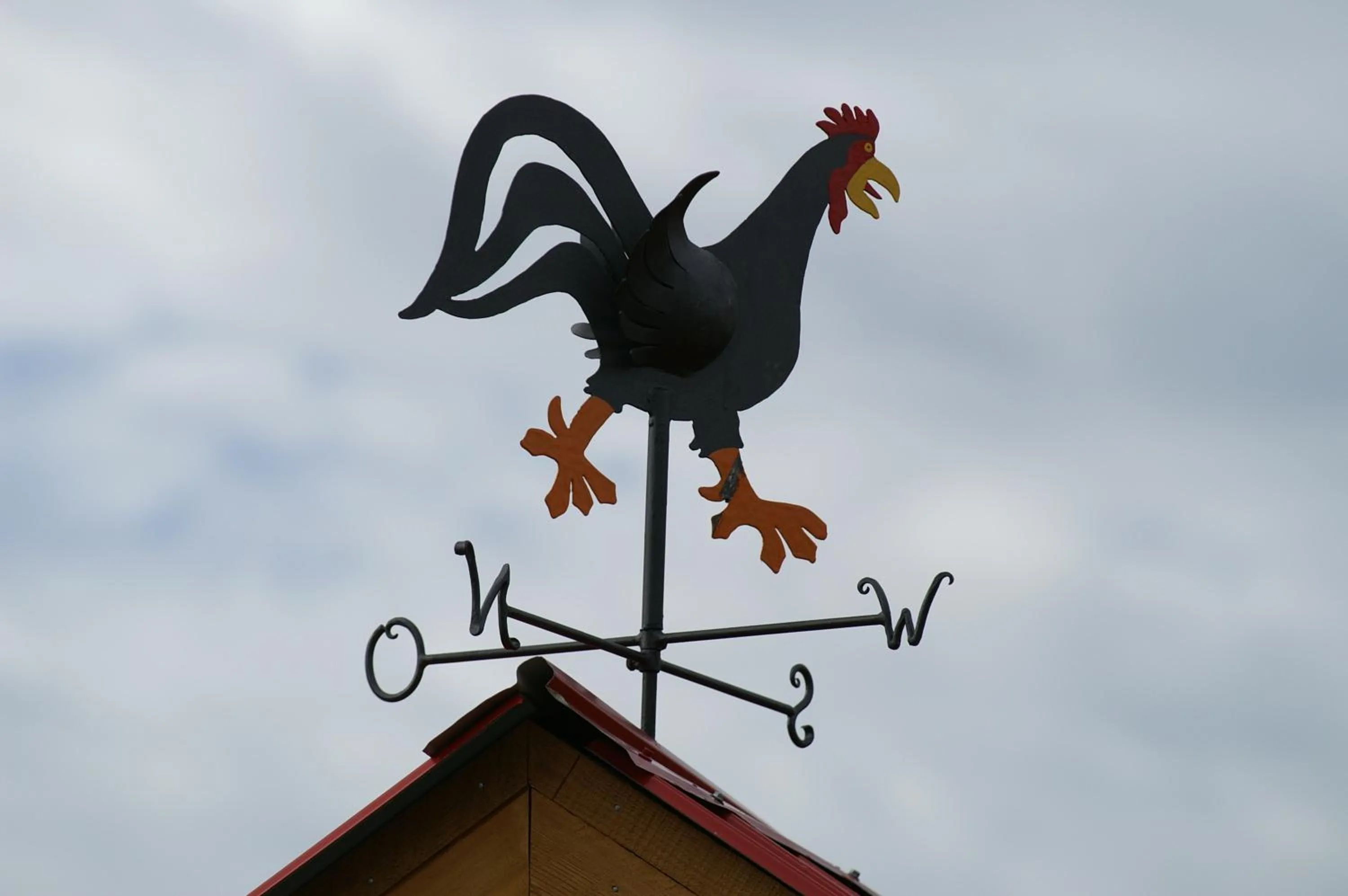 Other in Blue Grouse Country Inn