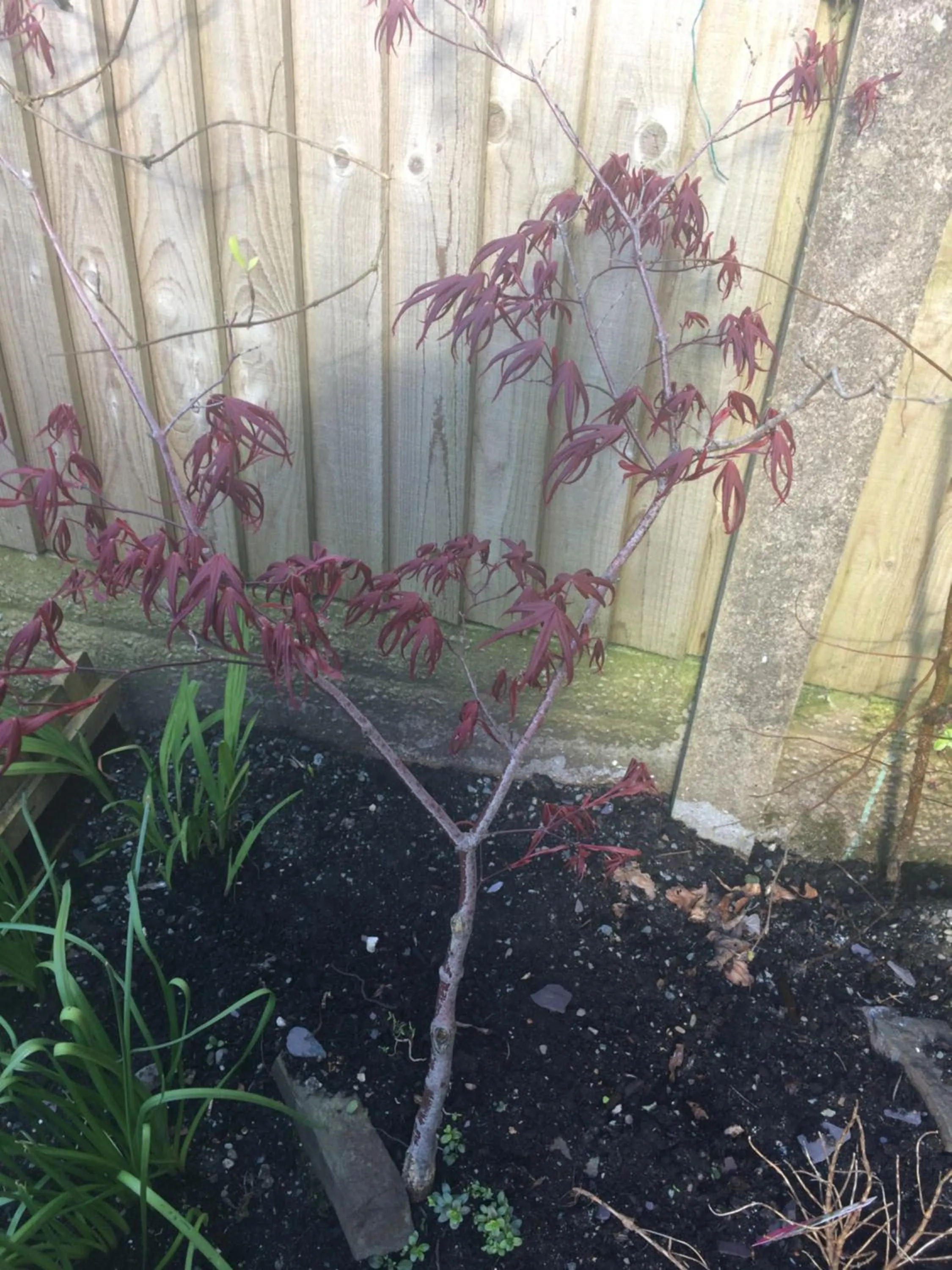 Other in Invergarry Room Only Guest House For Adults