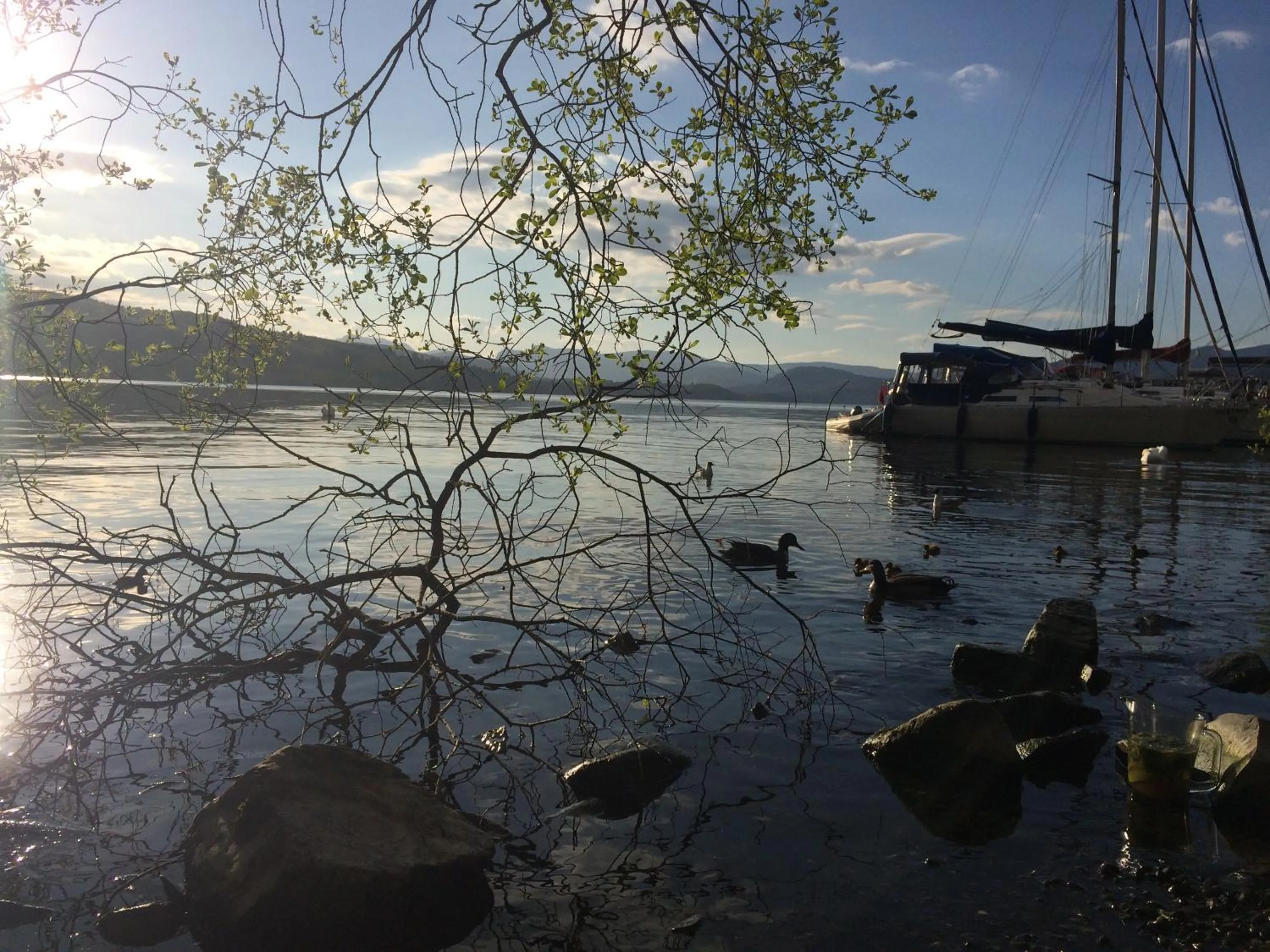 Natural landscape in Invergarry Room Only Guest House For Adults