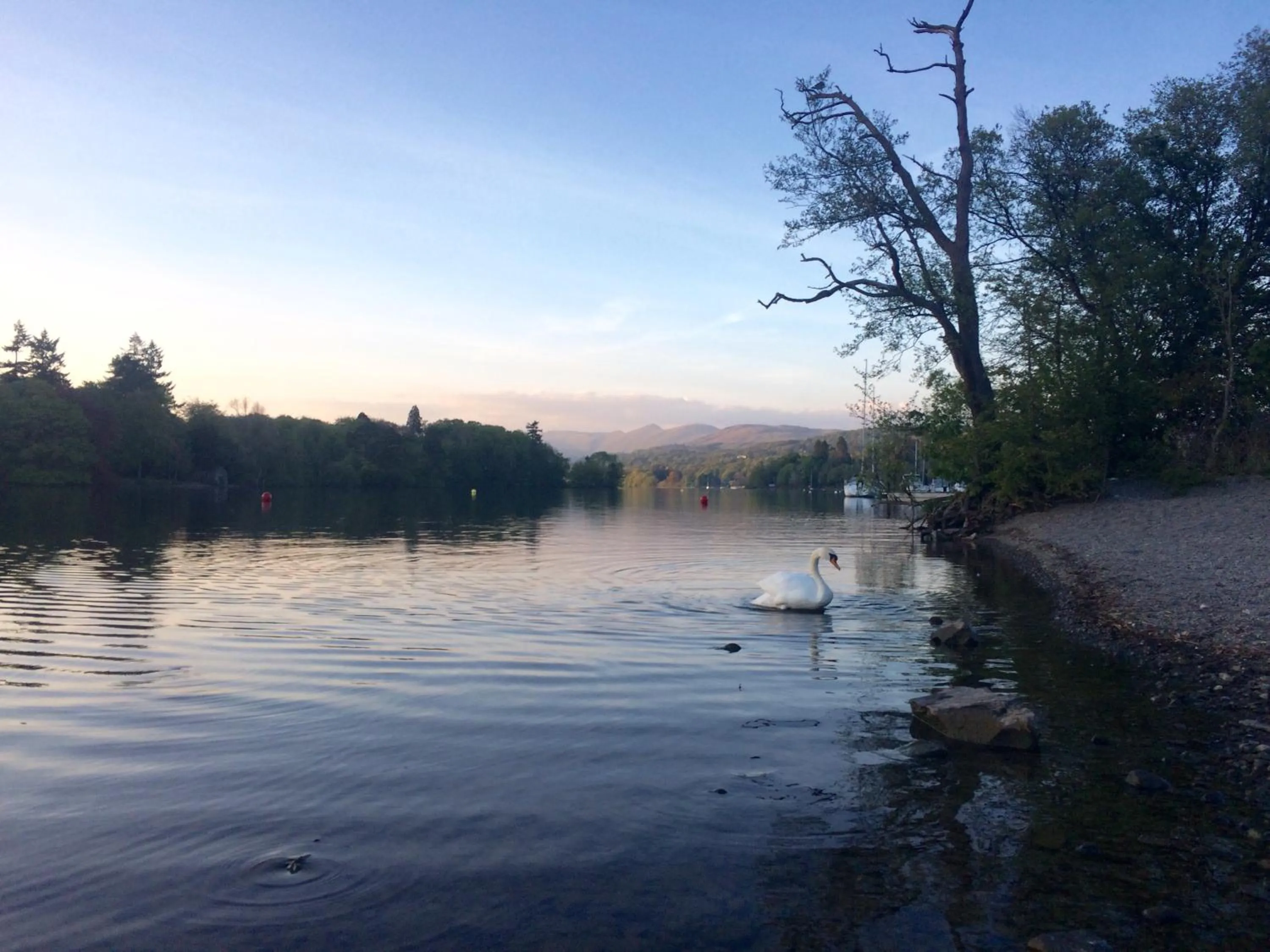 Natural landscape in Invergarry Room Only Guest House For Adults