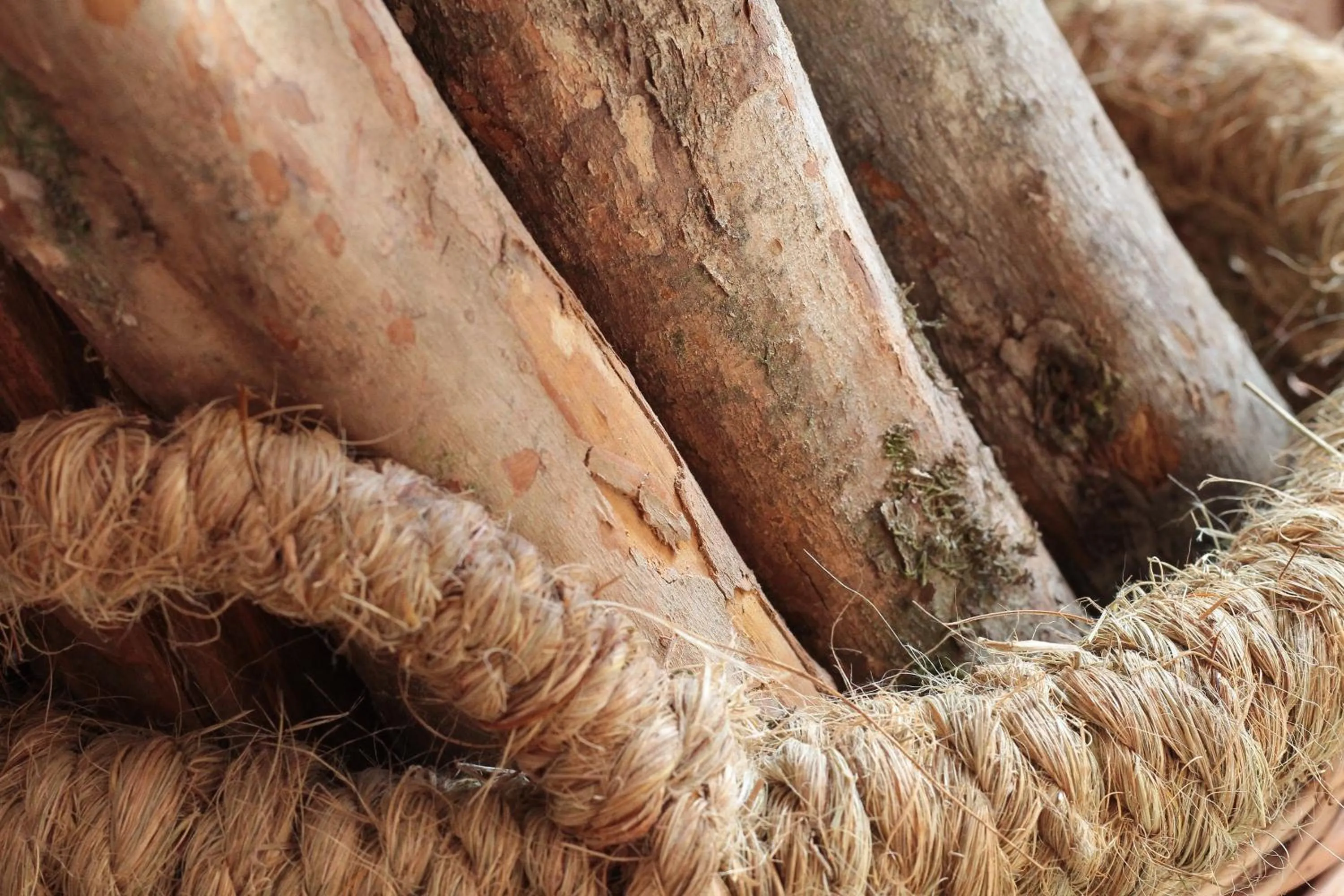 Decorative detail in Patagonia Route B&B