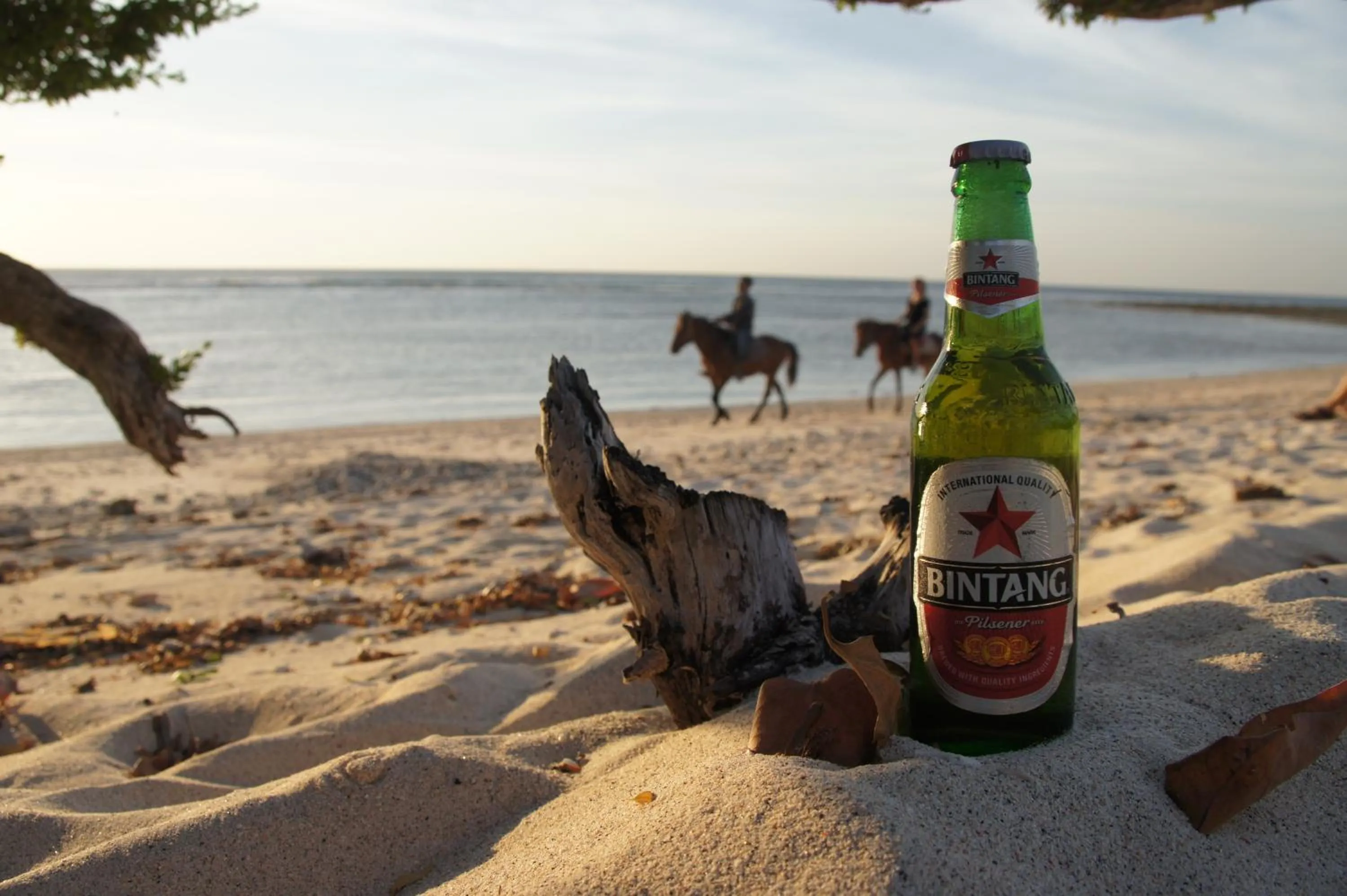 Horse-riding in Samba Villas Beachfront View