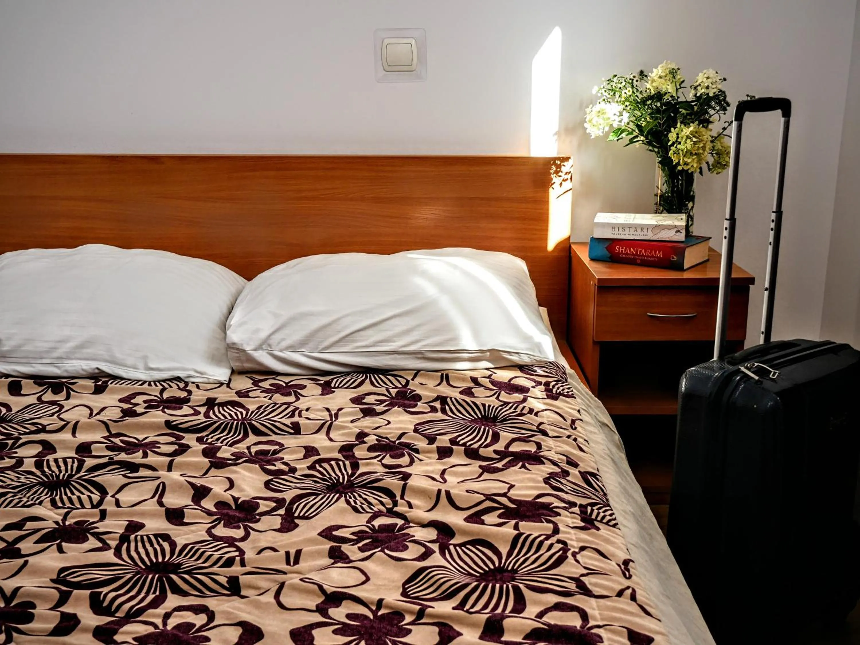 Bed in Hostel Evotel