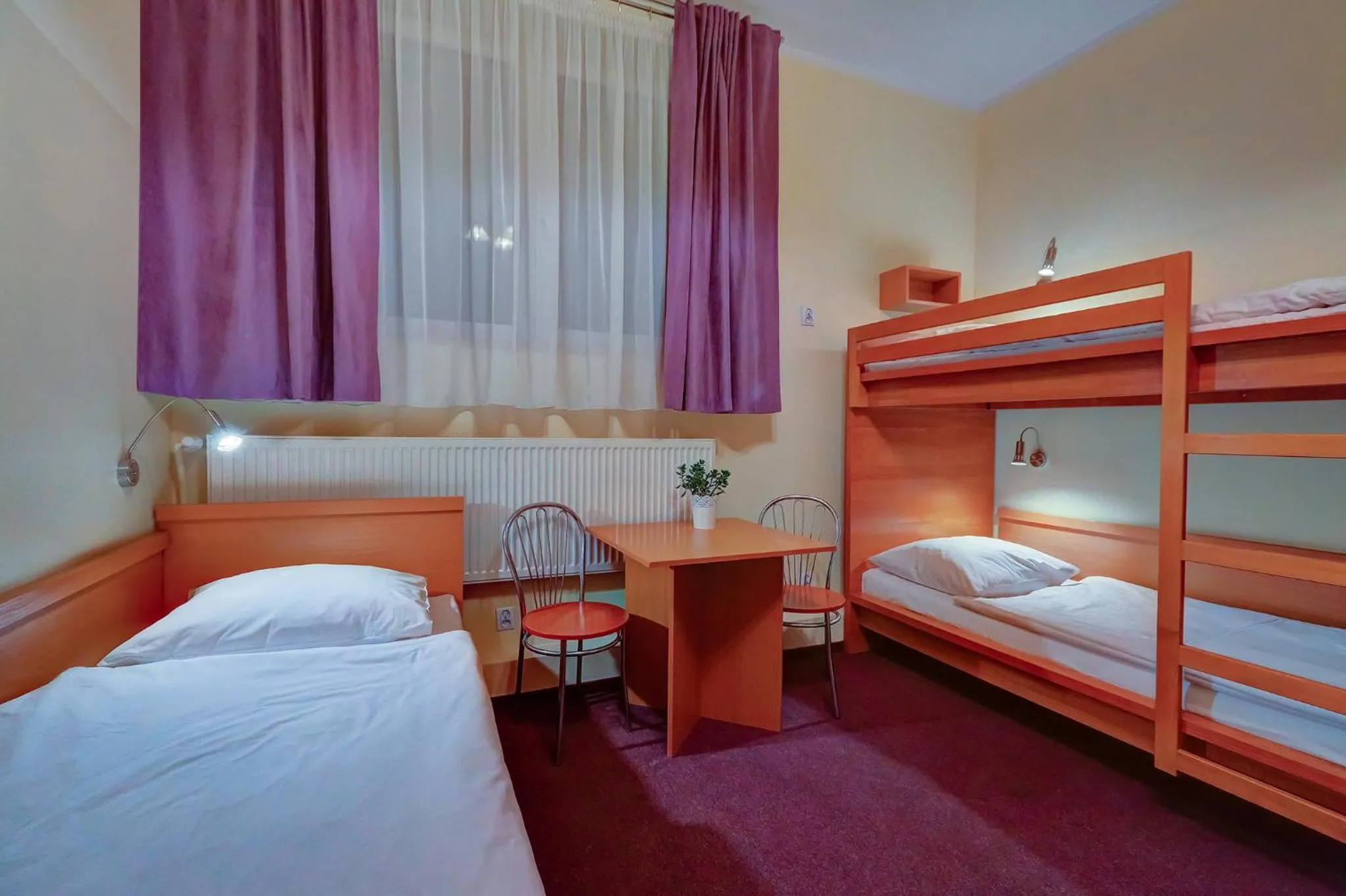 Bed in Hostel Evotel