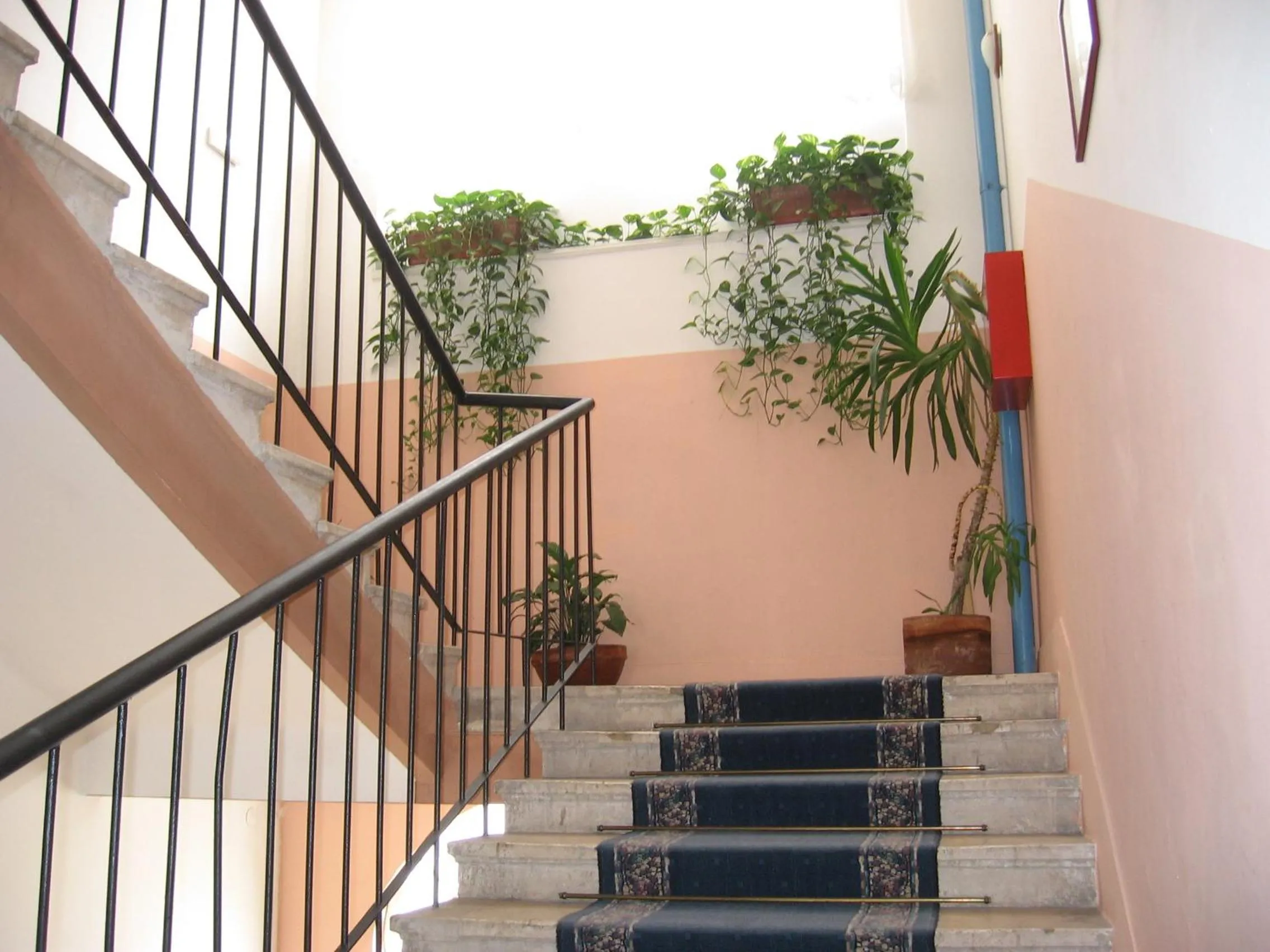 Other in Hostel Veli Jože