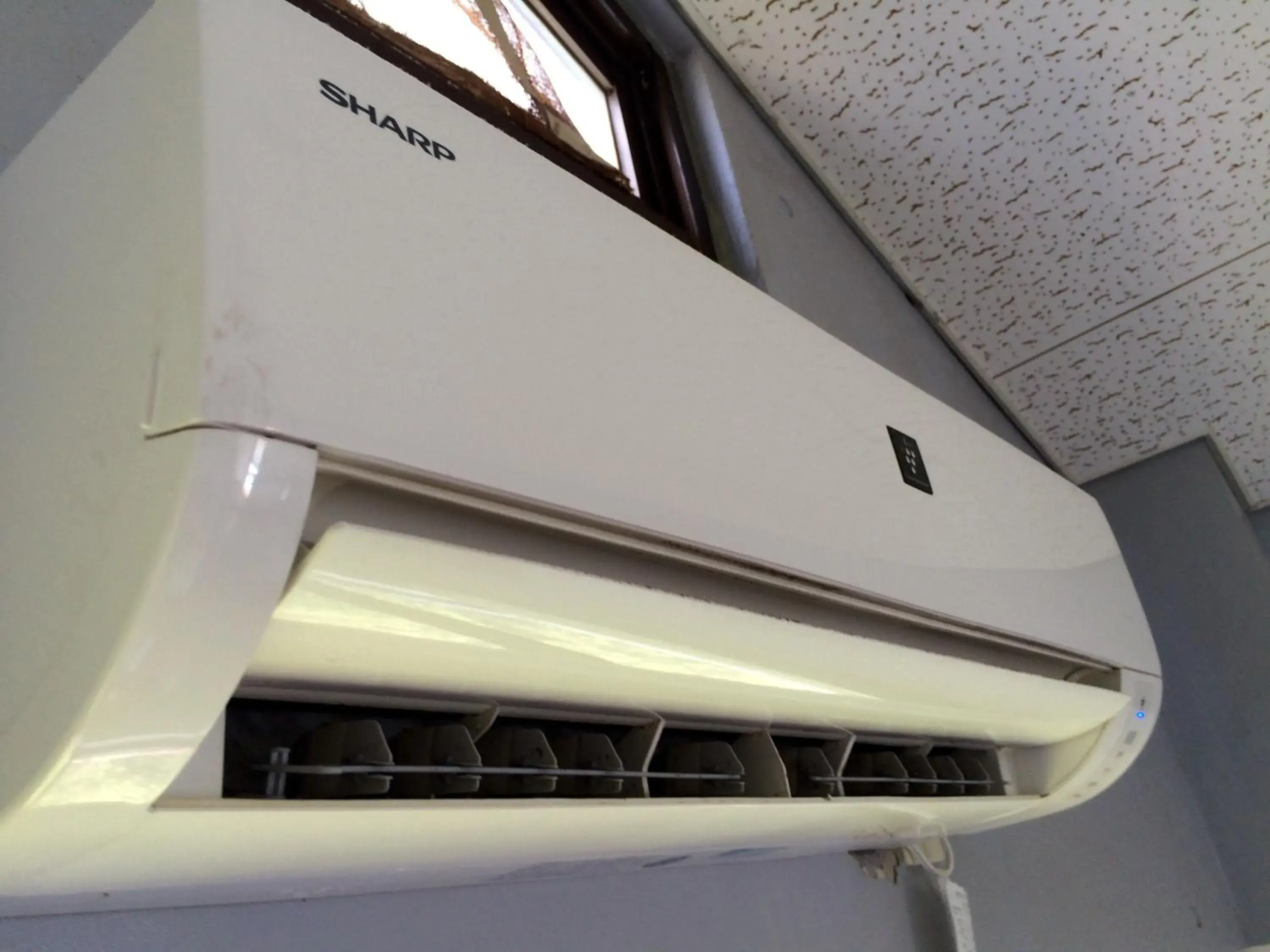 Photo of the whole room in Surfside Bed & Breakfast Photo of the whole room in Surfside Bed & Breakfast