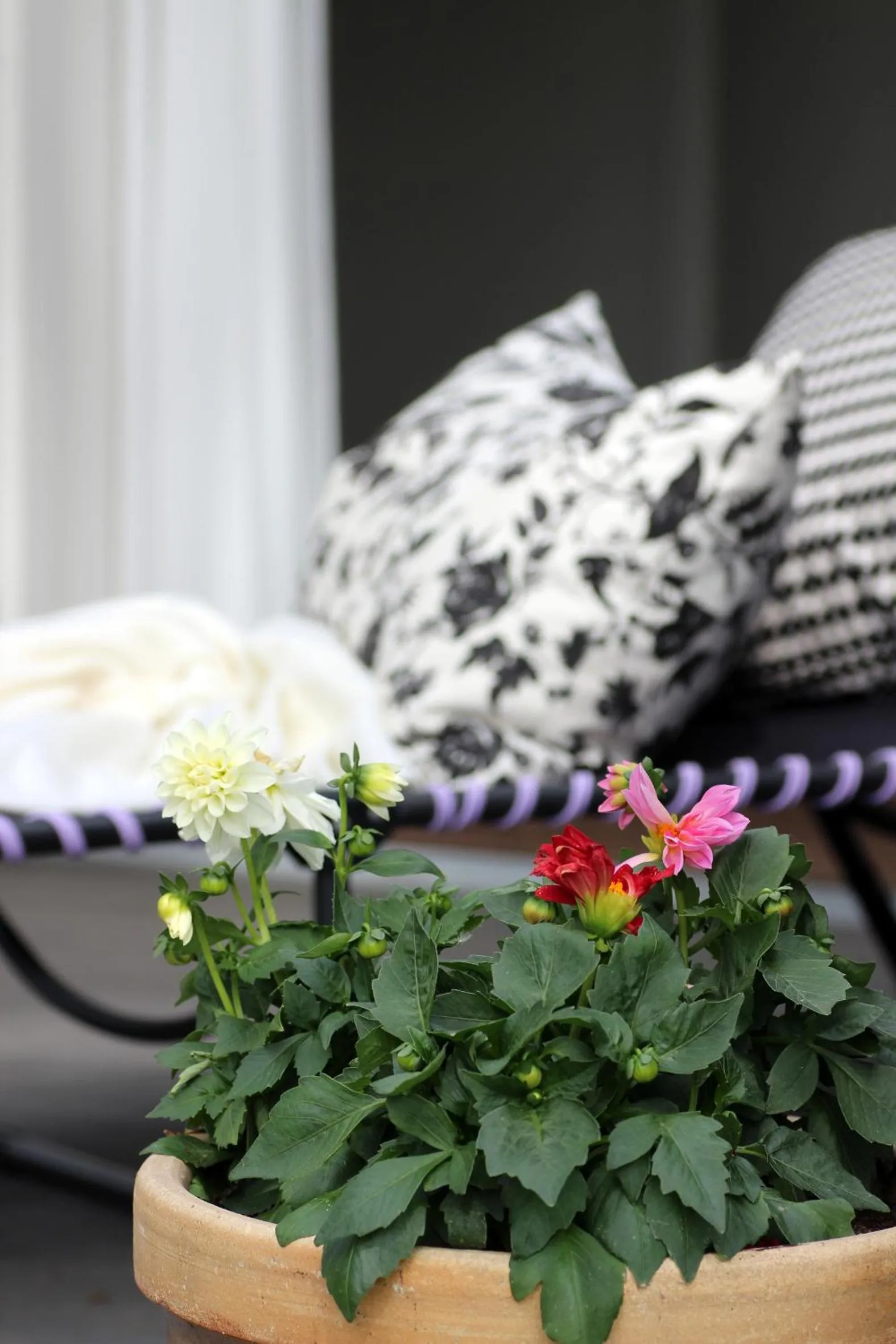 Summer, Bed in Rørvig Centret