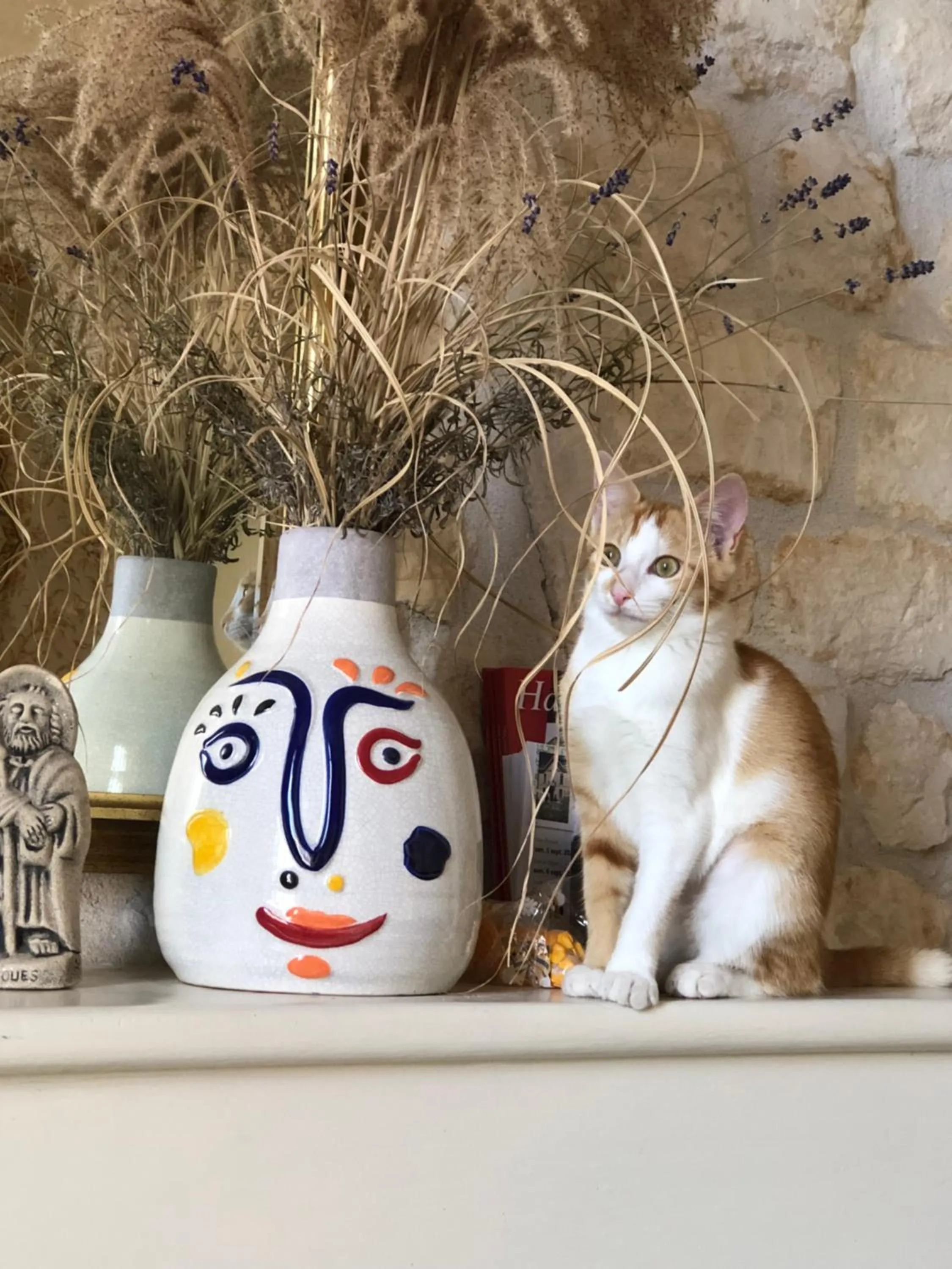 Pets in Saint James House