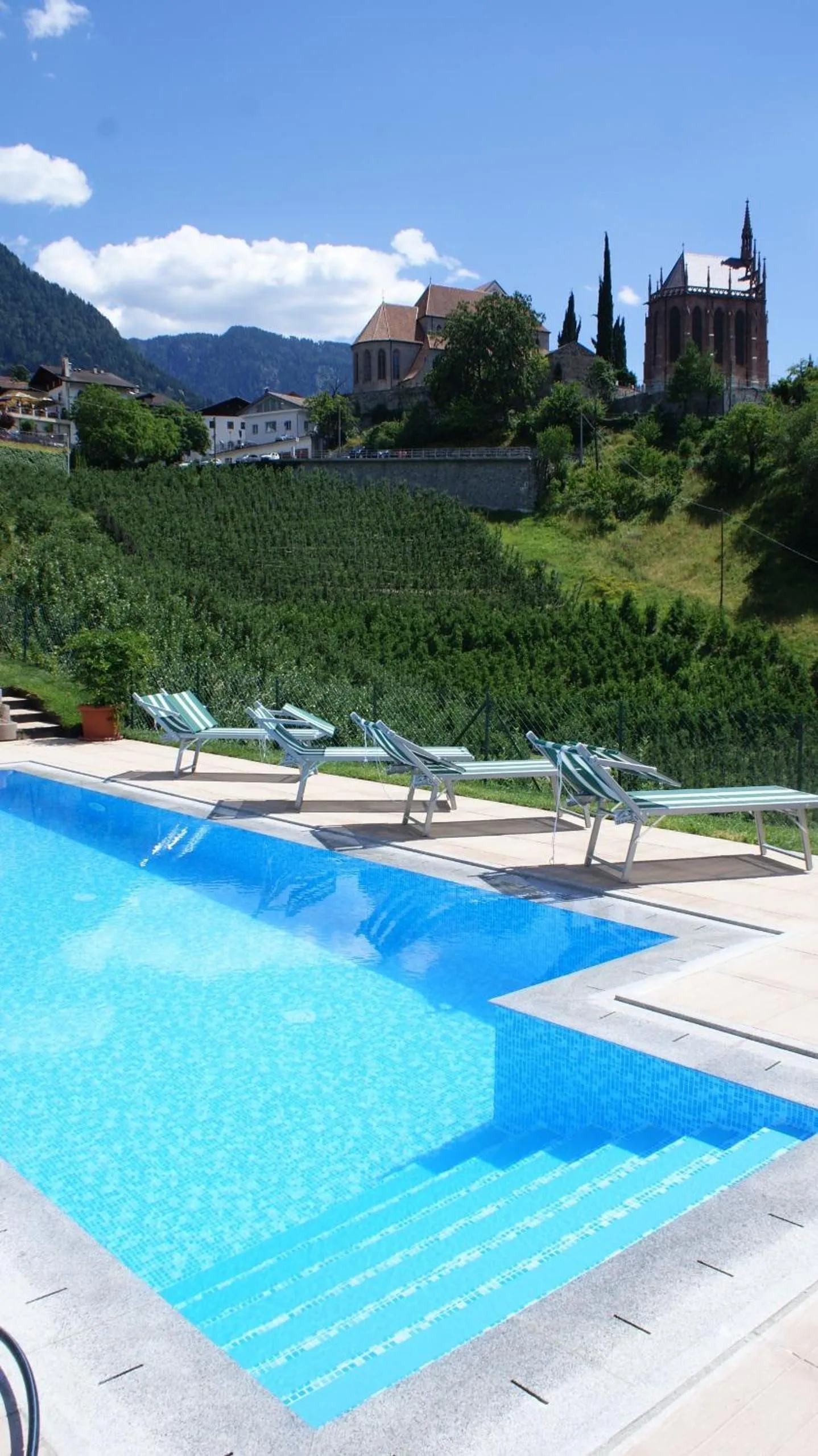 Swimming pool in Residence Fiegl