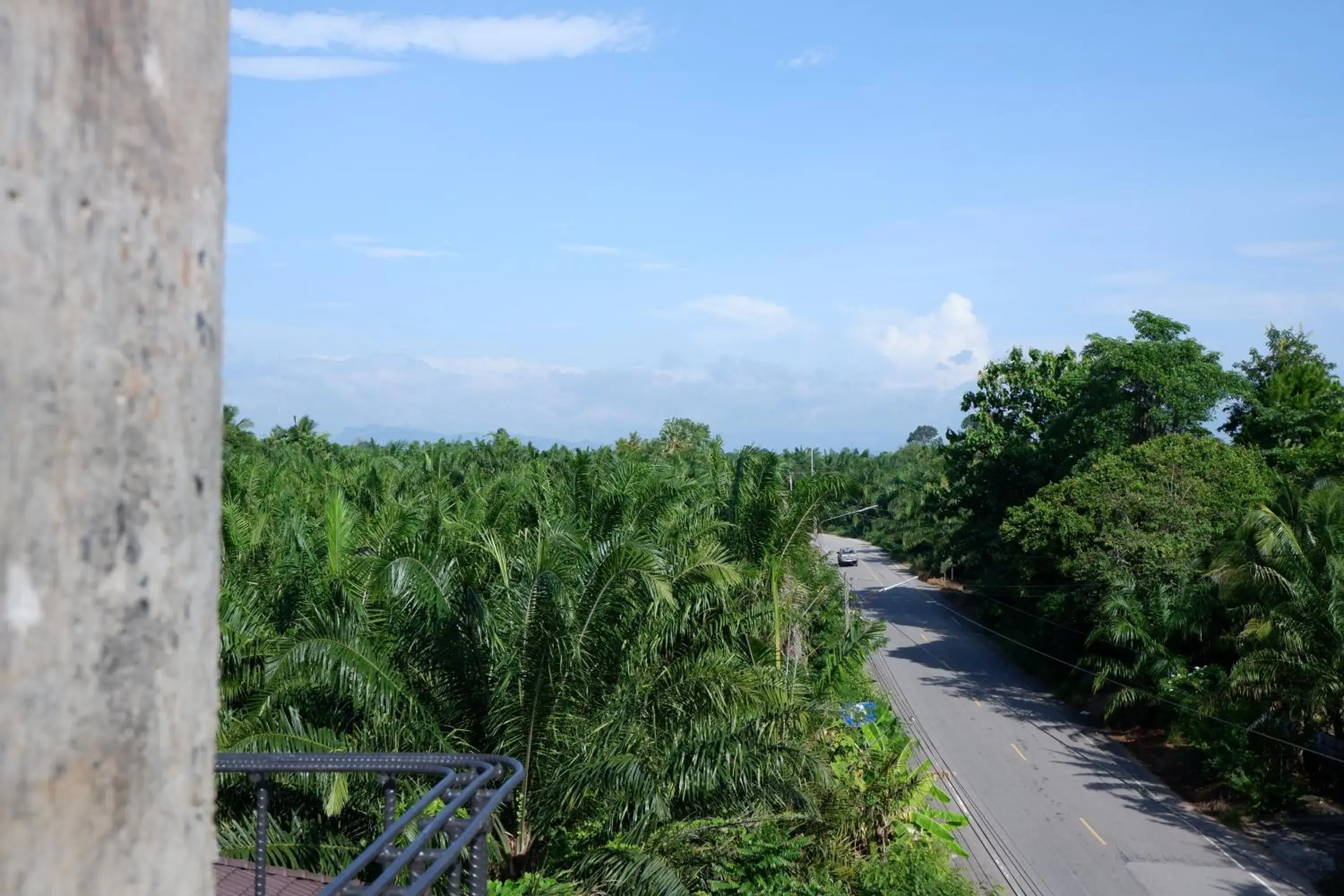 Property building in Black Elephant Boutique Property building in Black Elephant Boutique