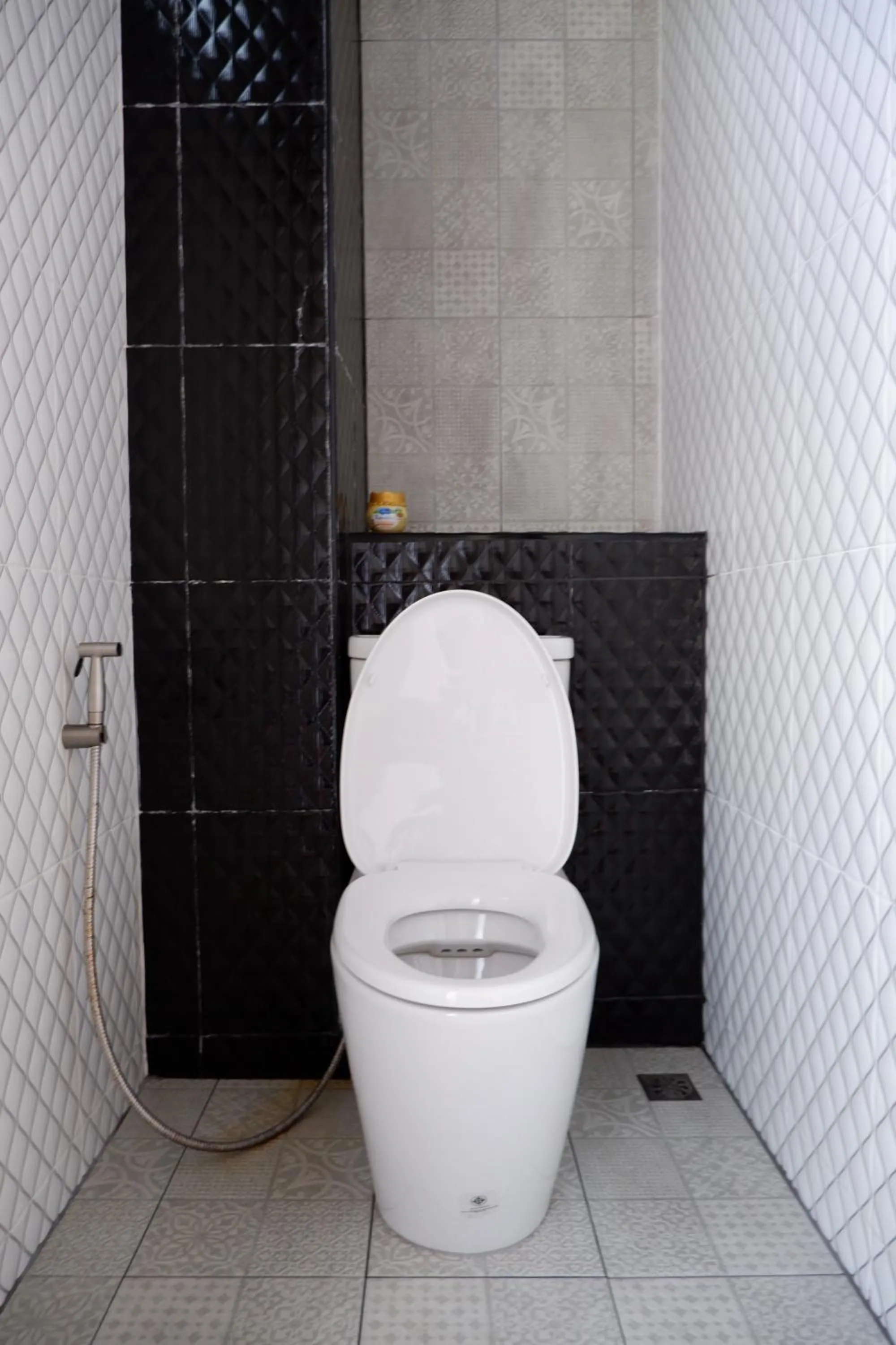 Toilet in Black Elephant Boutique