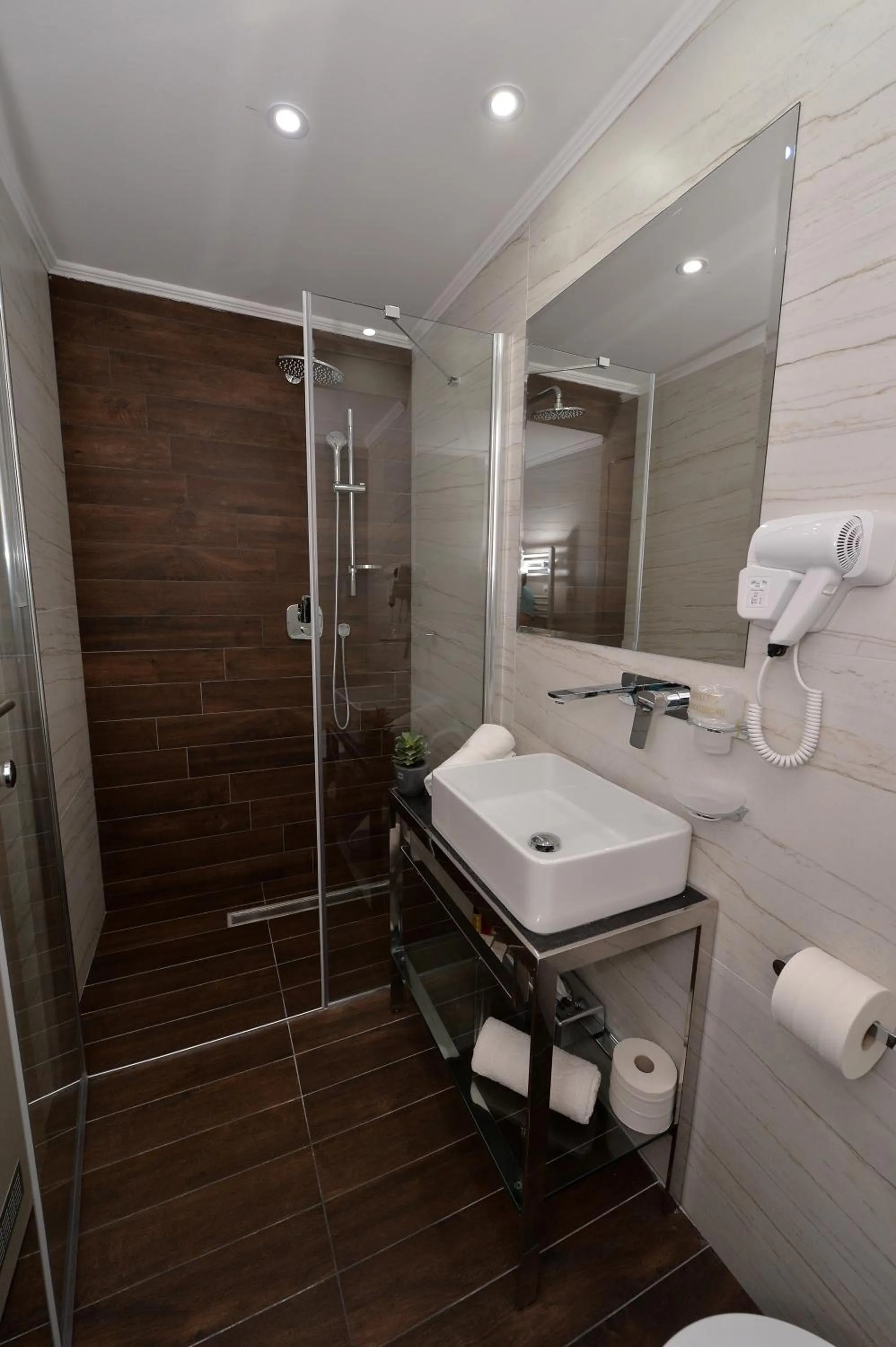 Shower in Hotel Alexandar II