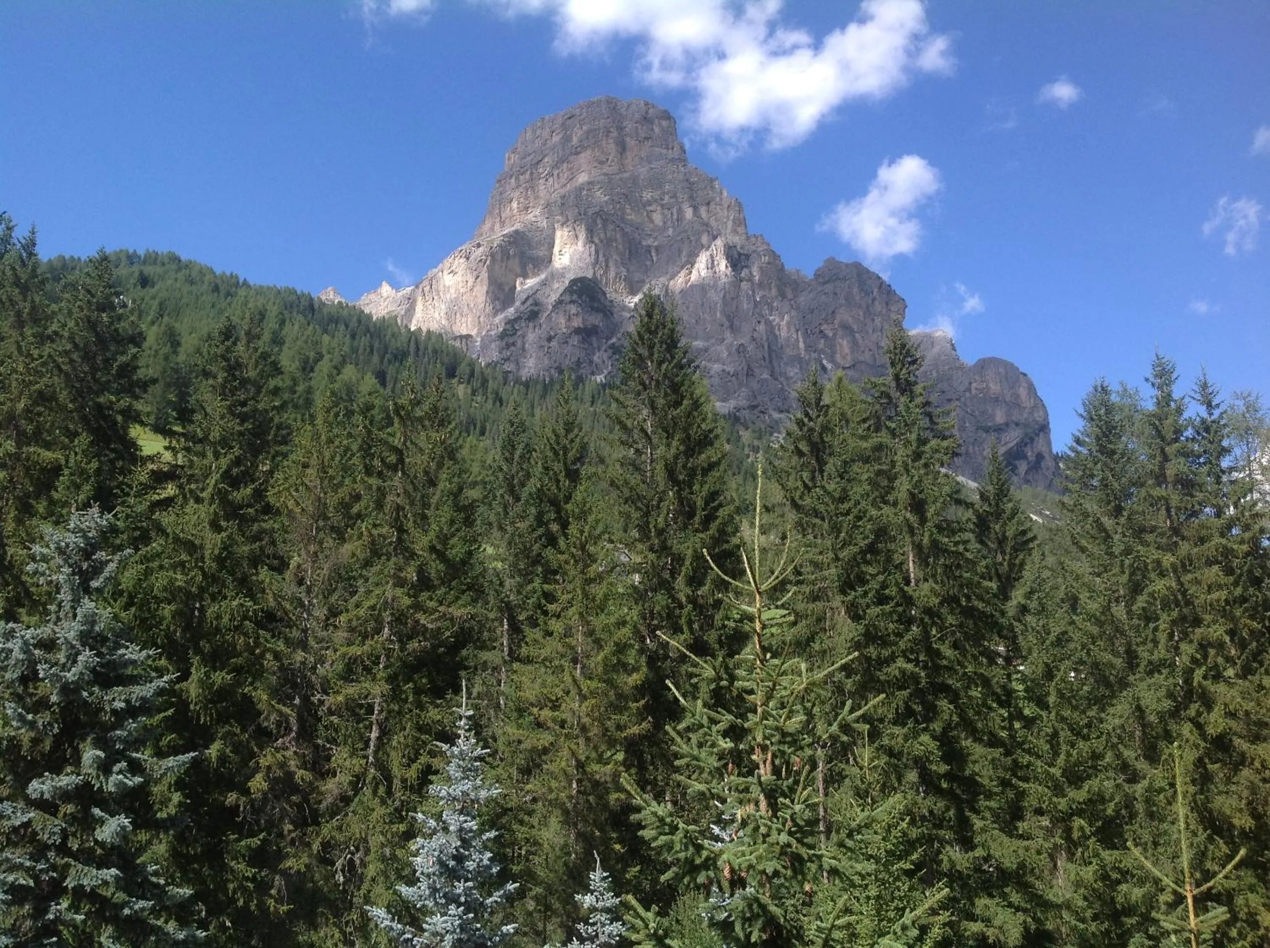 Area and facilities in Residence Salvan