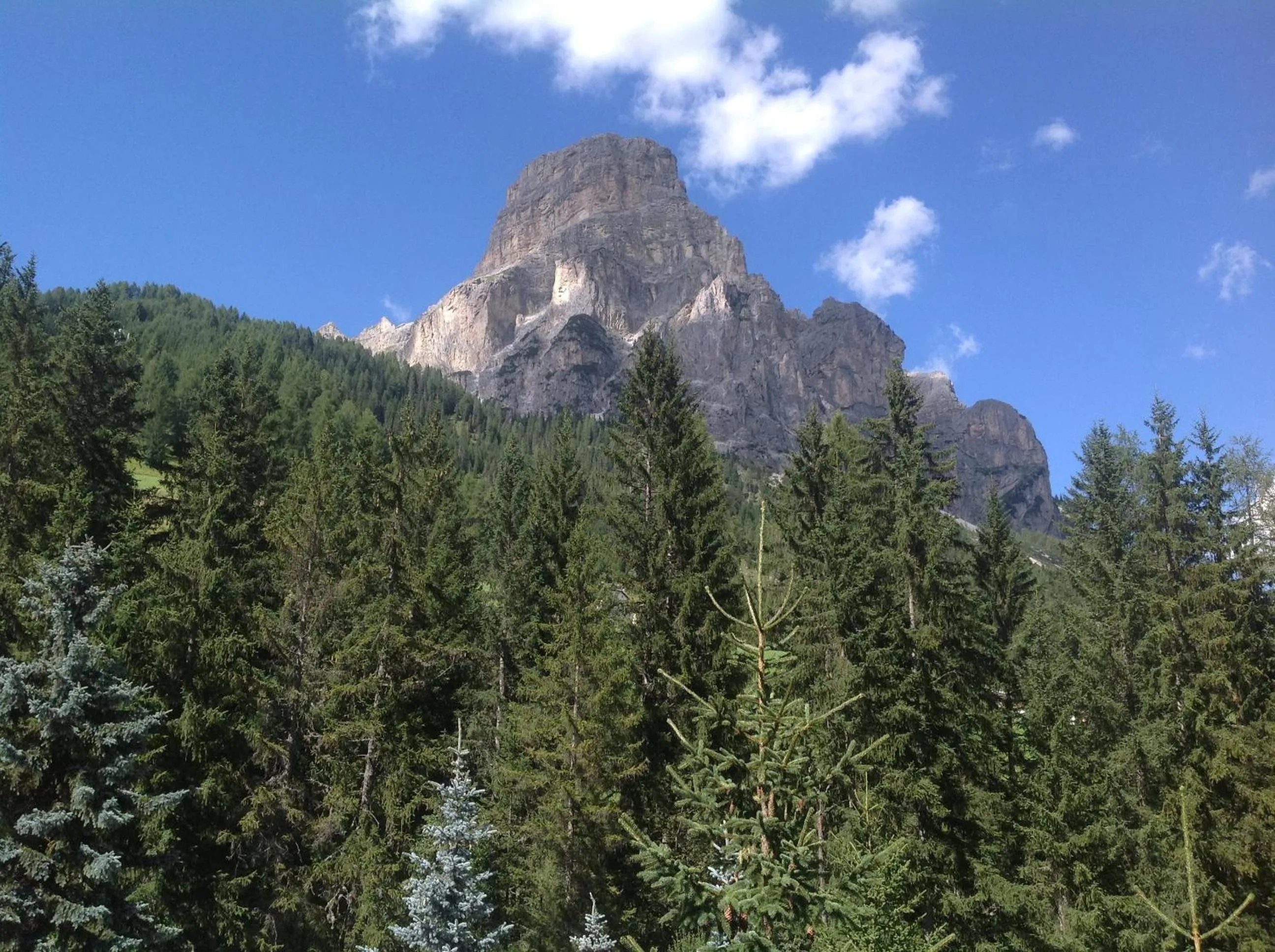 Area and facilities in Residence Salvan