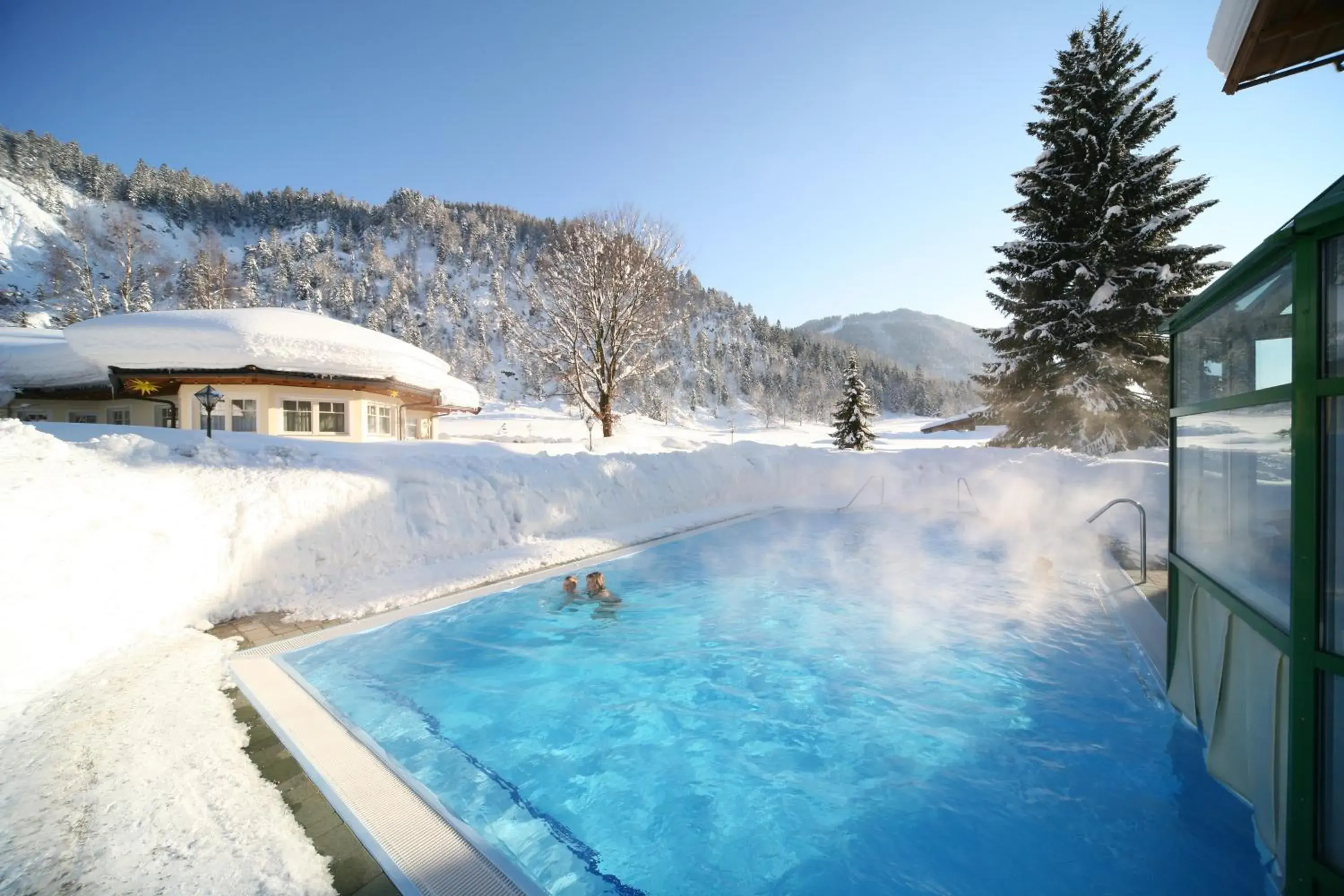 Swimming Pool in Vitalhotel Berghof