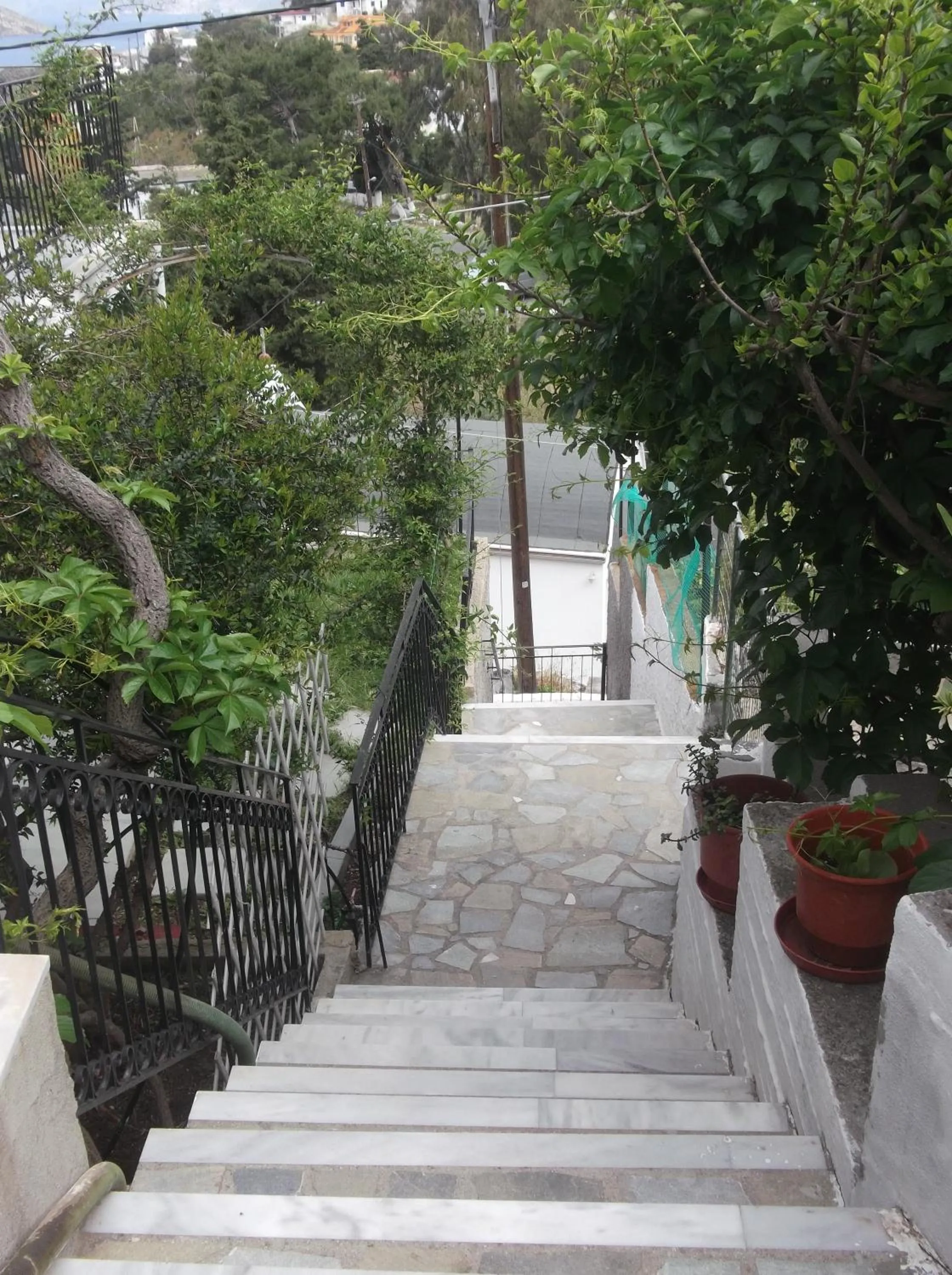 Garden in Panorama Studios & Apartments