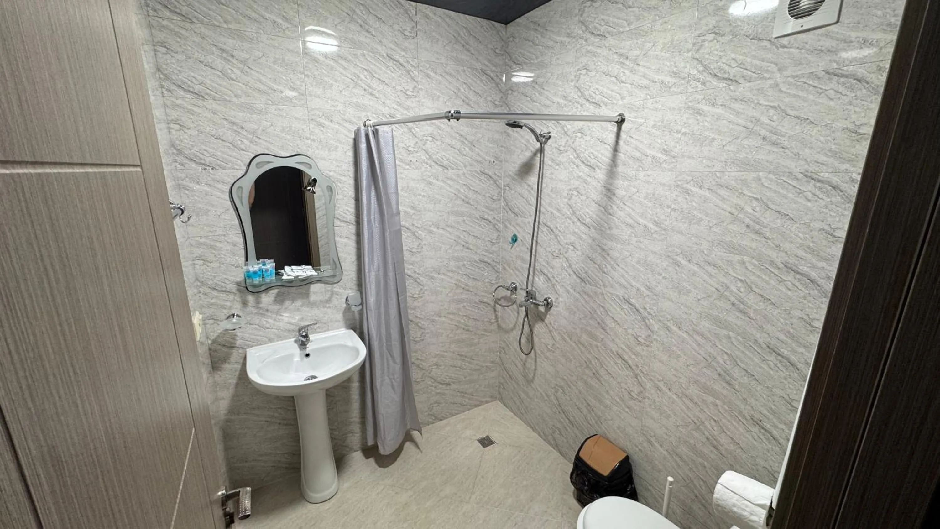 Shower in Nakashidze's Apartments