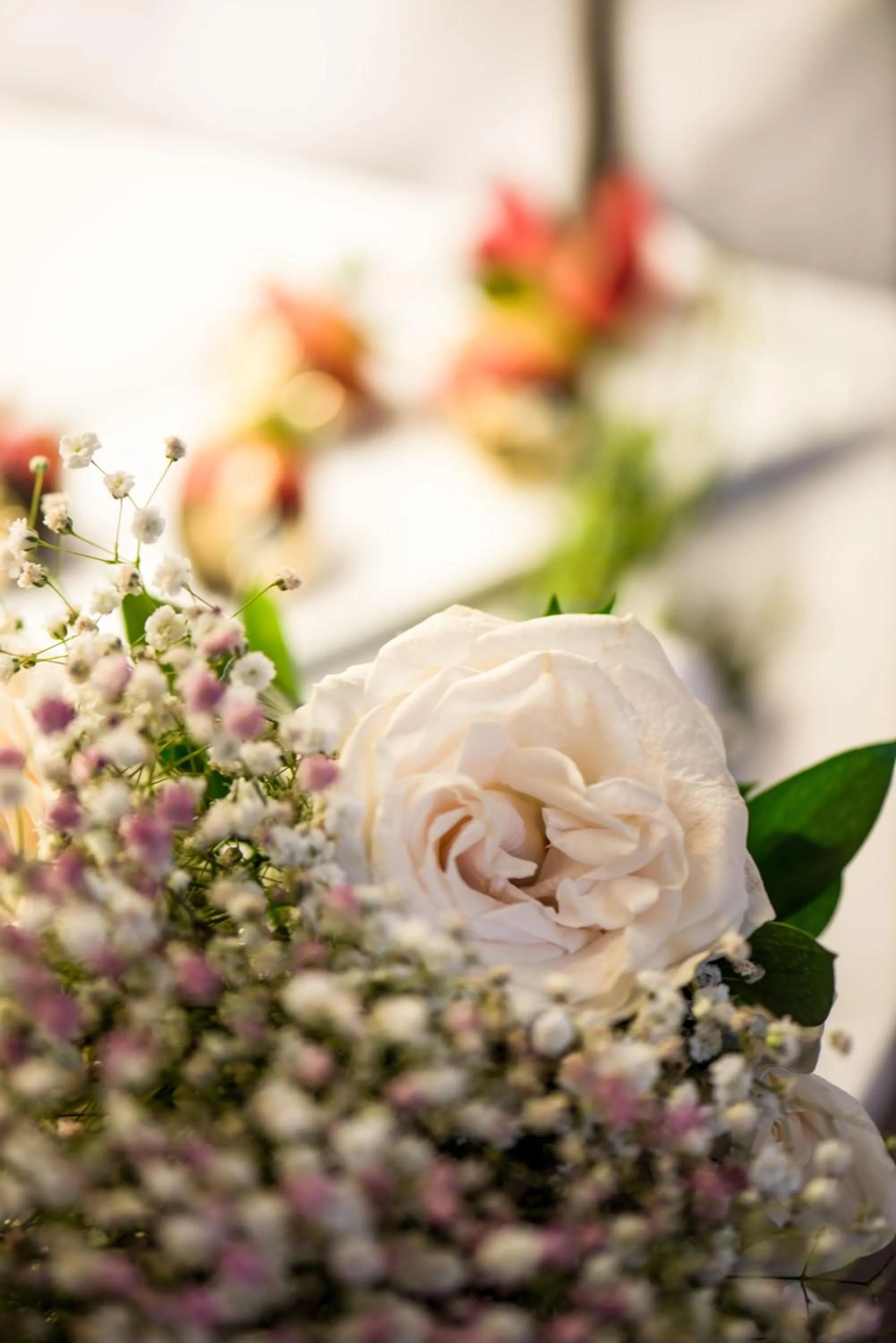 Decorative detail in Hotel Boutique Bovedas de Santa Clara By Accor
