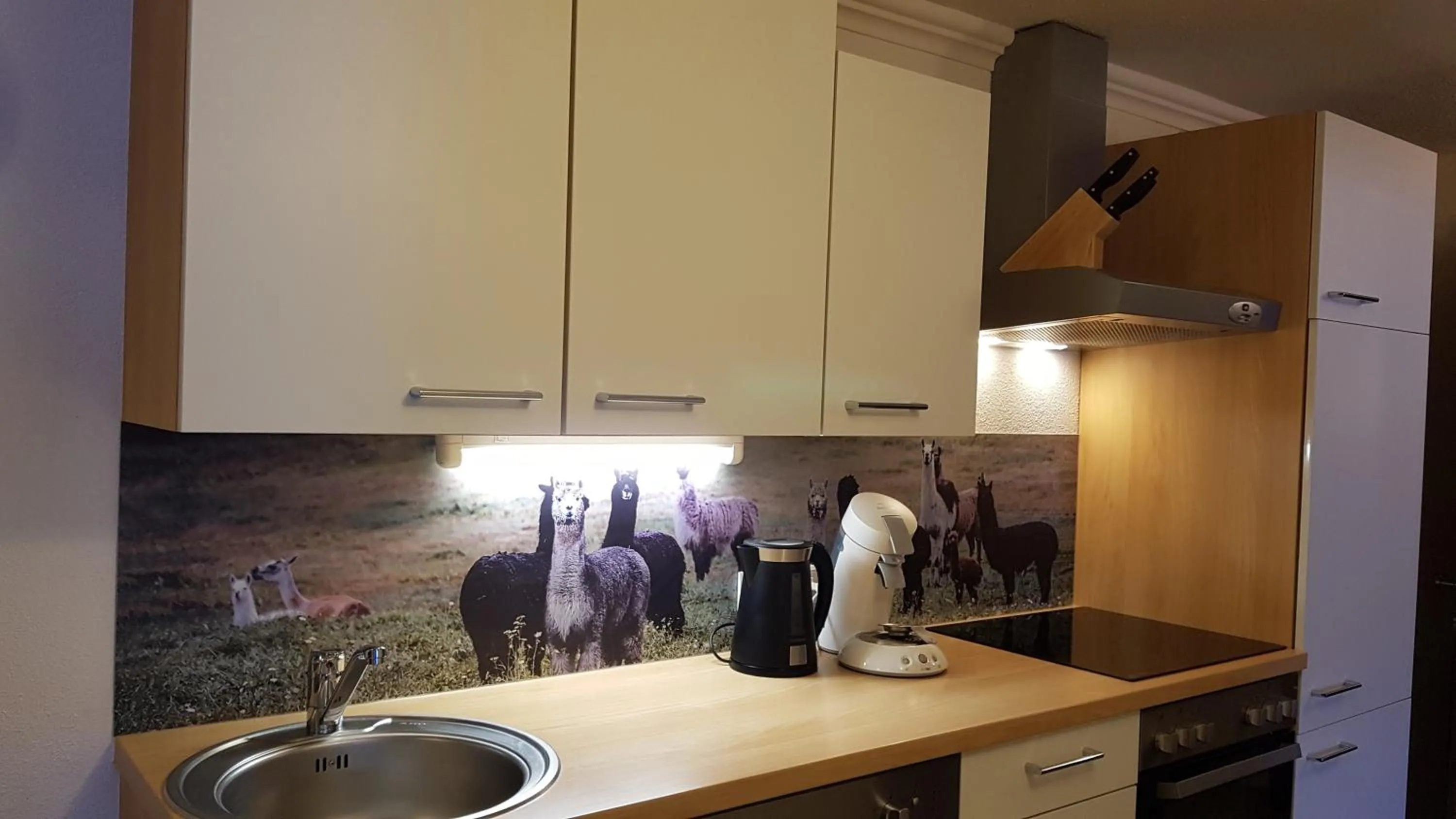 Kitchen or kitchenette in Alpin Appart Reiterhof