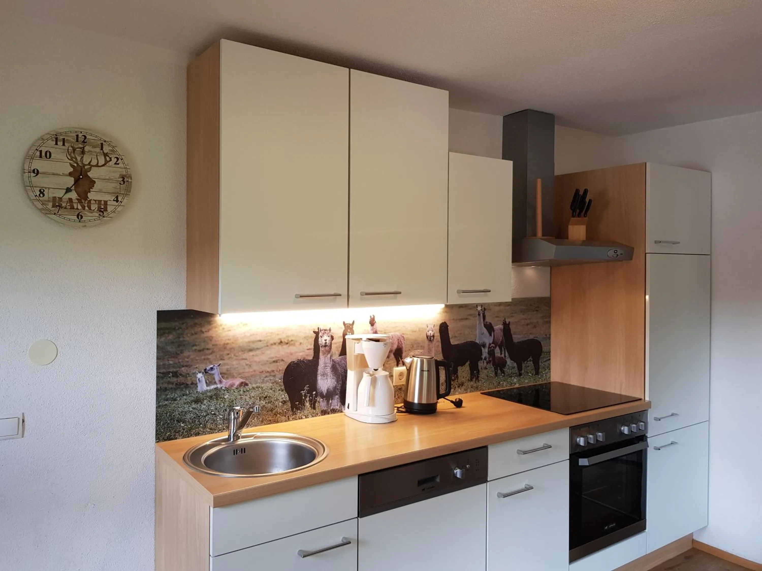 kitchen in Alpin Appart Reiterhof
