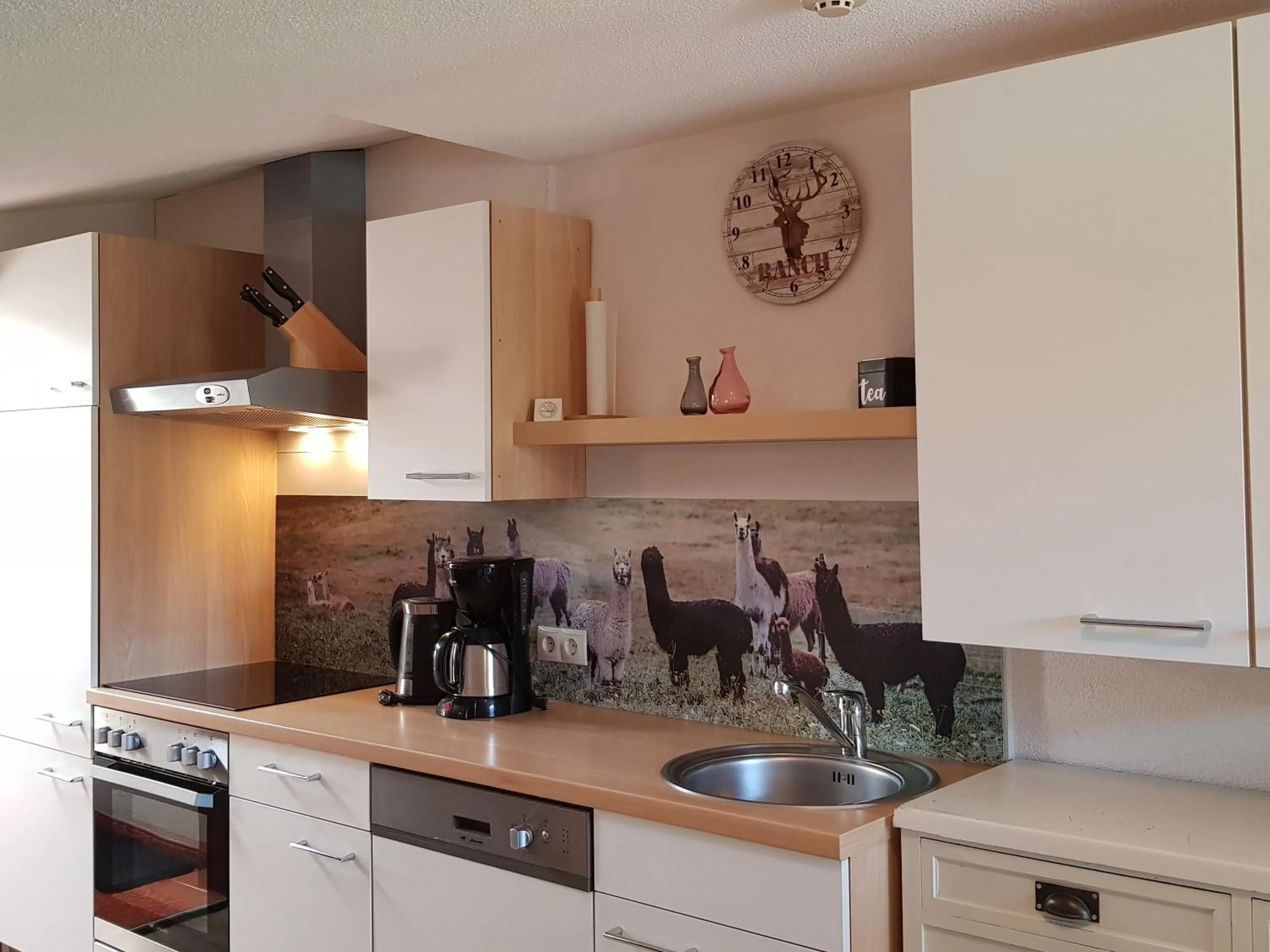 kitchen in Alpin Appart Reiterhof