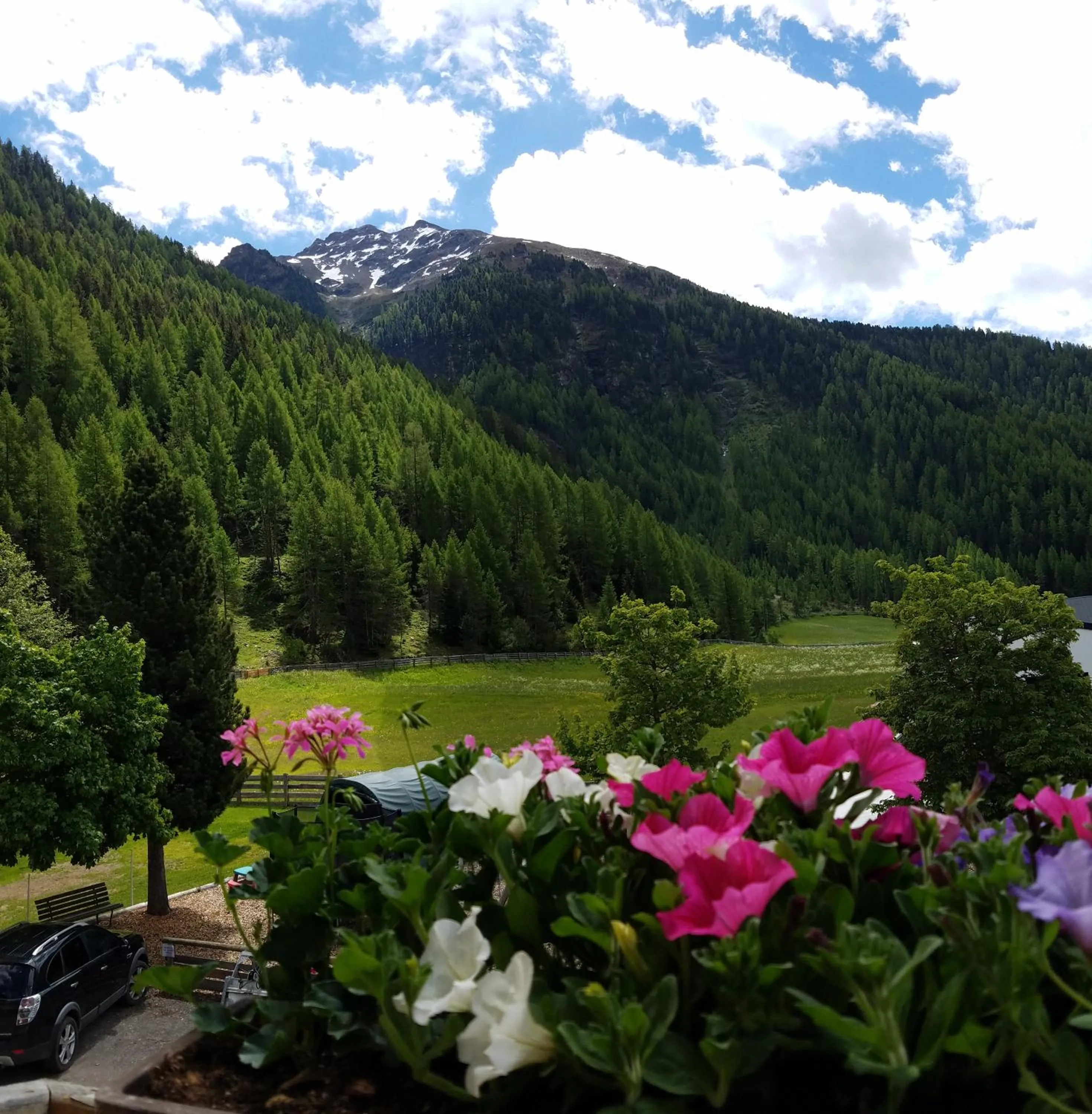 View (from property/room) in Alpin Appart Reiterhof