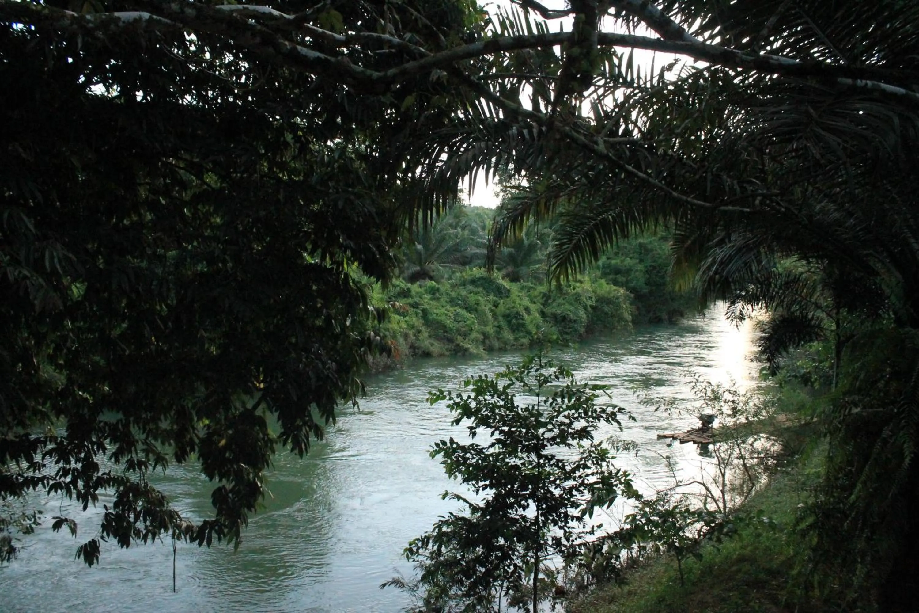 River view in Khaosok River Camp