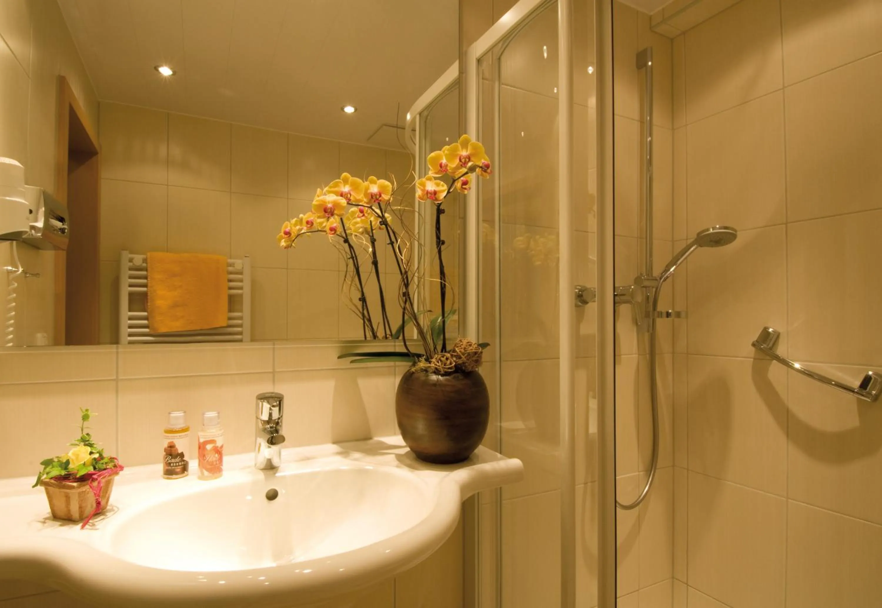 Bathroom in BB Haus Neugebauer Garni