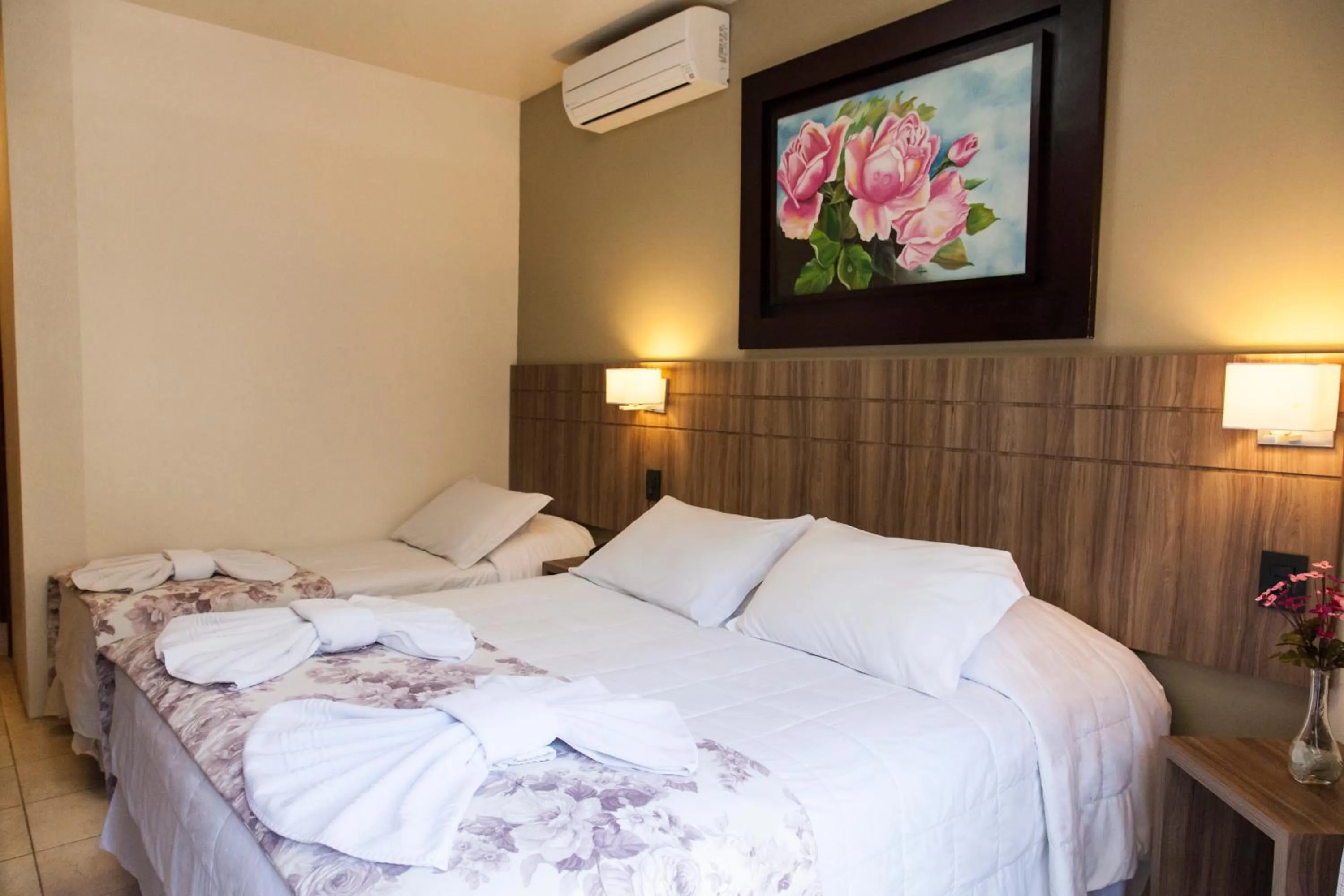 Deluxe Suite in Pousada Águia Branca