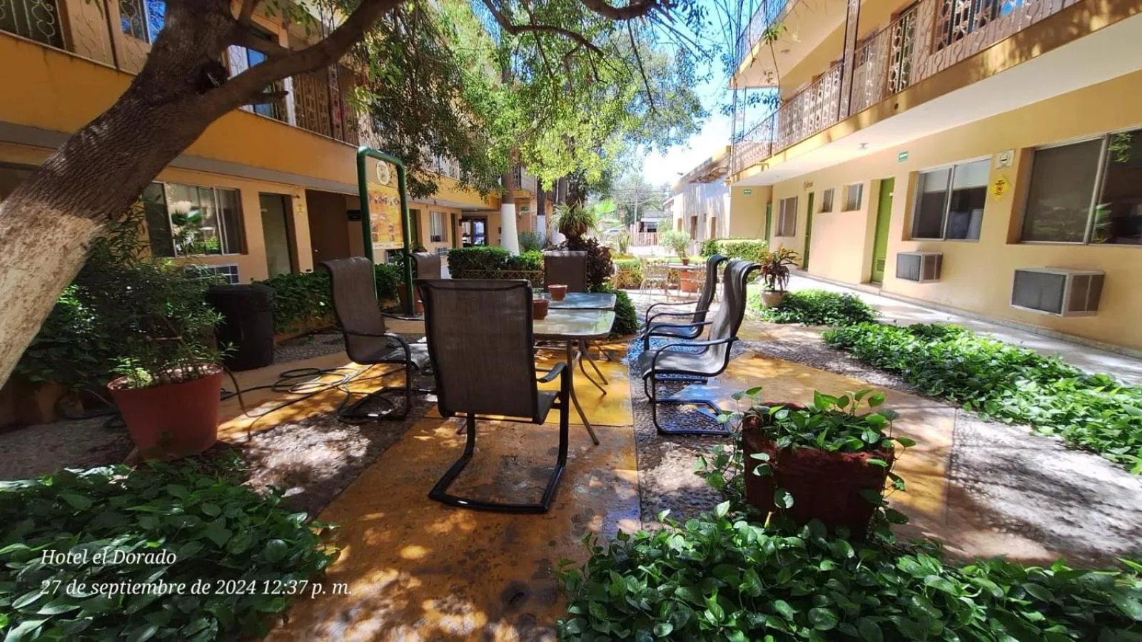 Garden in Hotel El Dorado