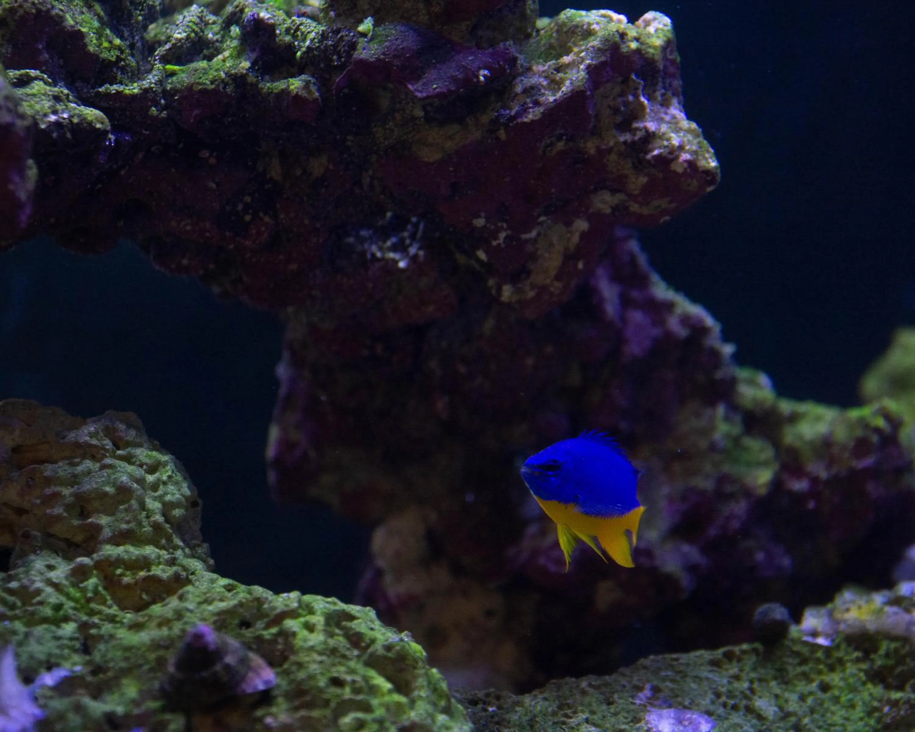 Lobby or reception in Travelodge by Wyndham Roberval