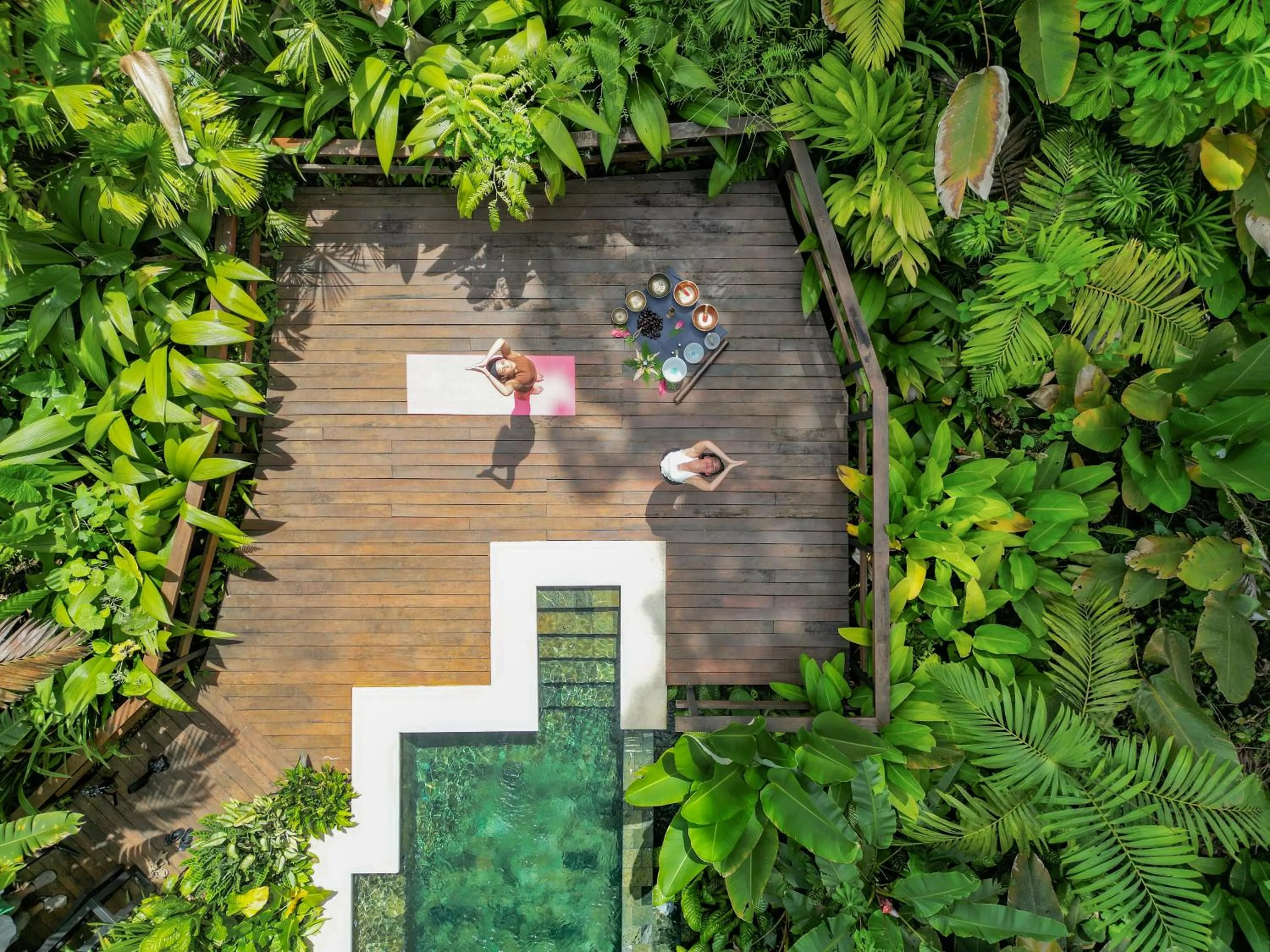 Garden view in Chachagua Rainforest Hotel & Hot Springs
