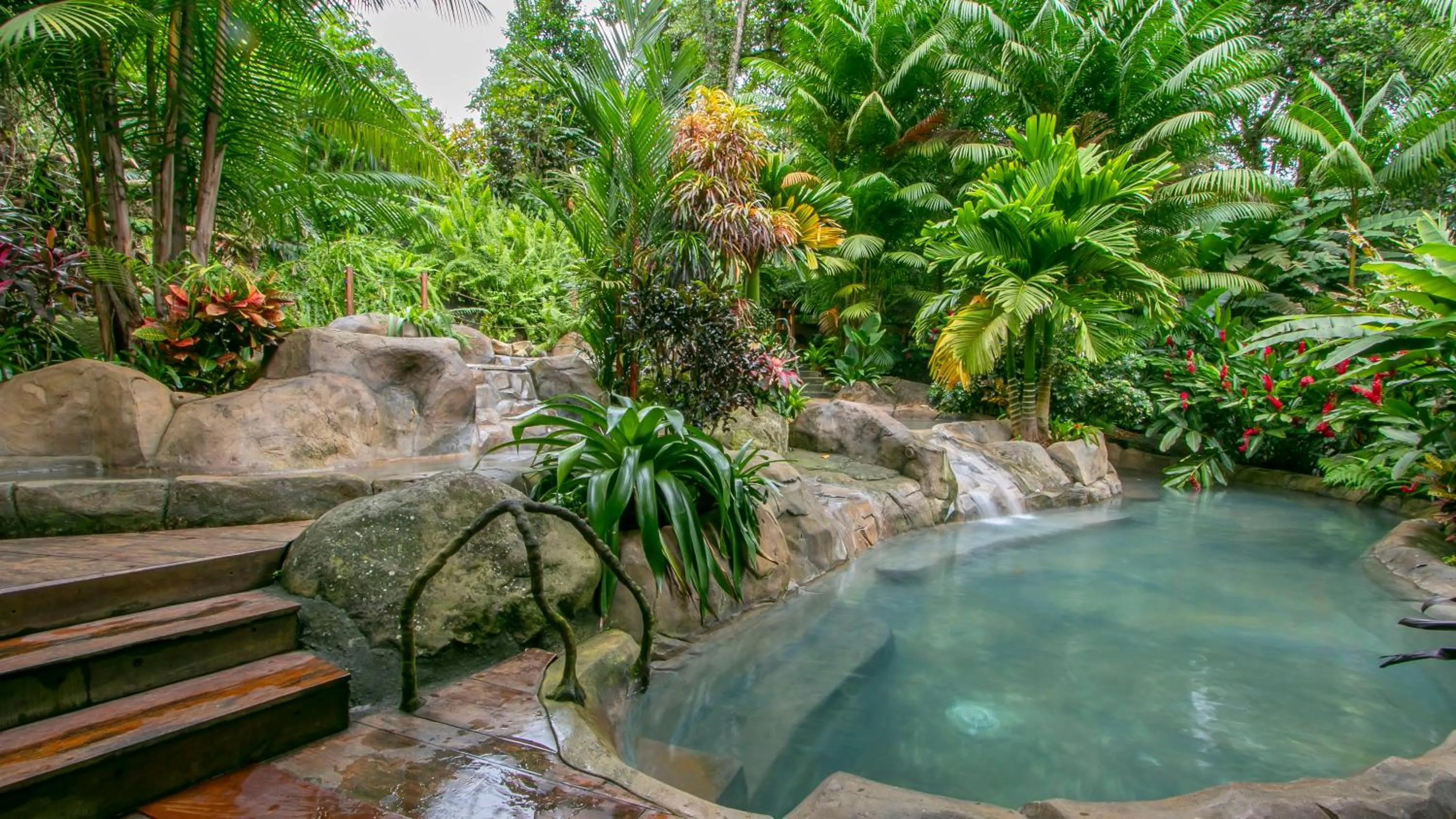 Garden in Chachagua Rainforest Hotel & Hot Springs